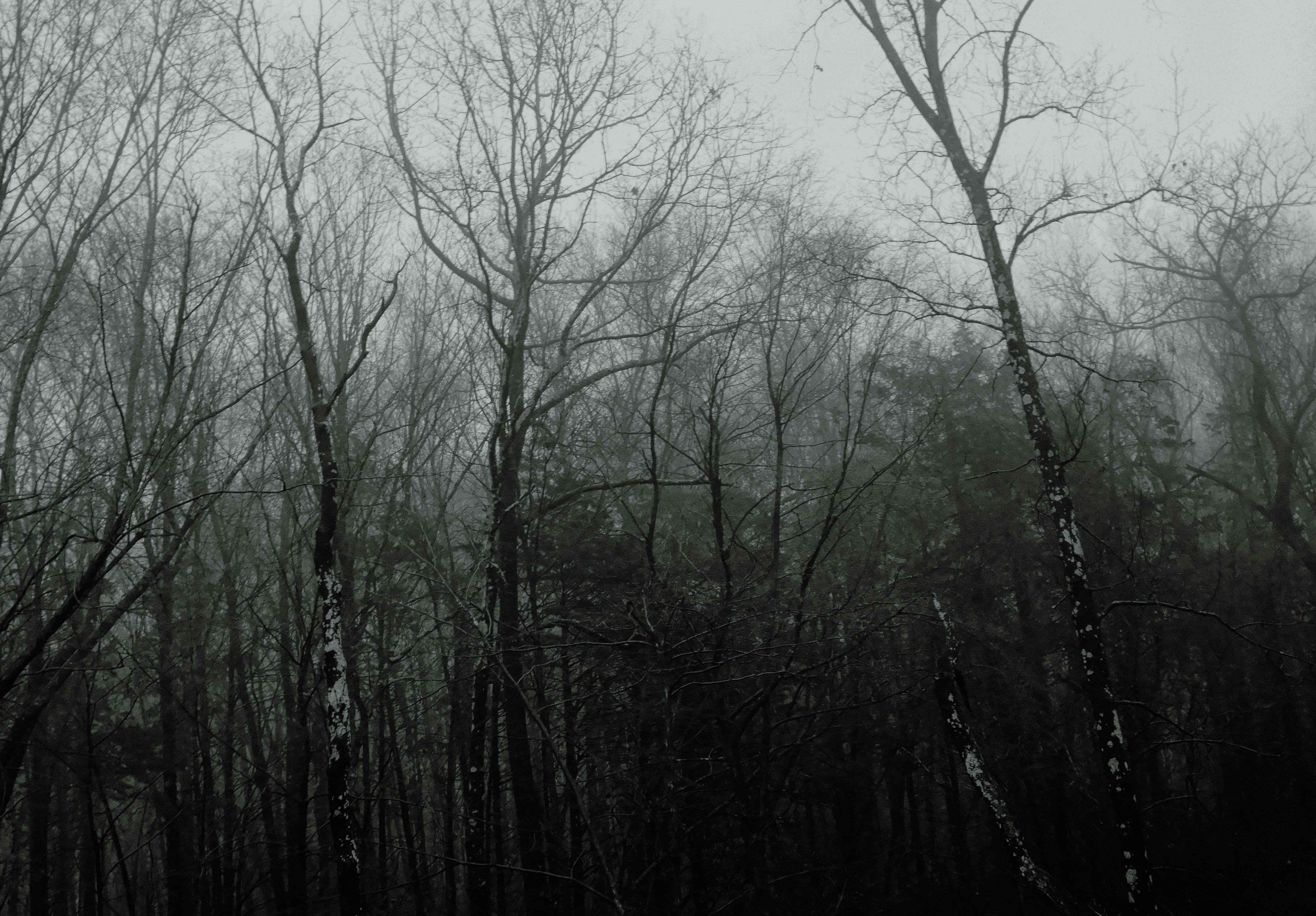 Photo by vdp_photography