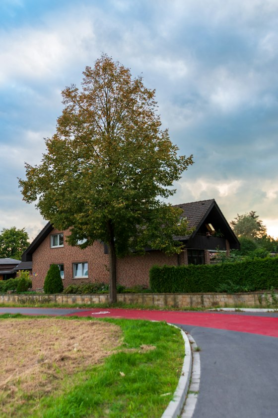 Myra Ridge Neighborhood Guide: Ranch Homes, Mature Trees and a Park Out Back | Max Mitchell
