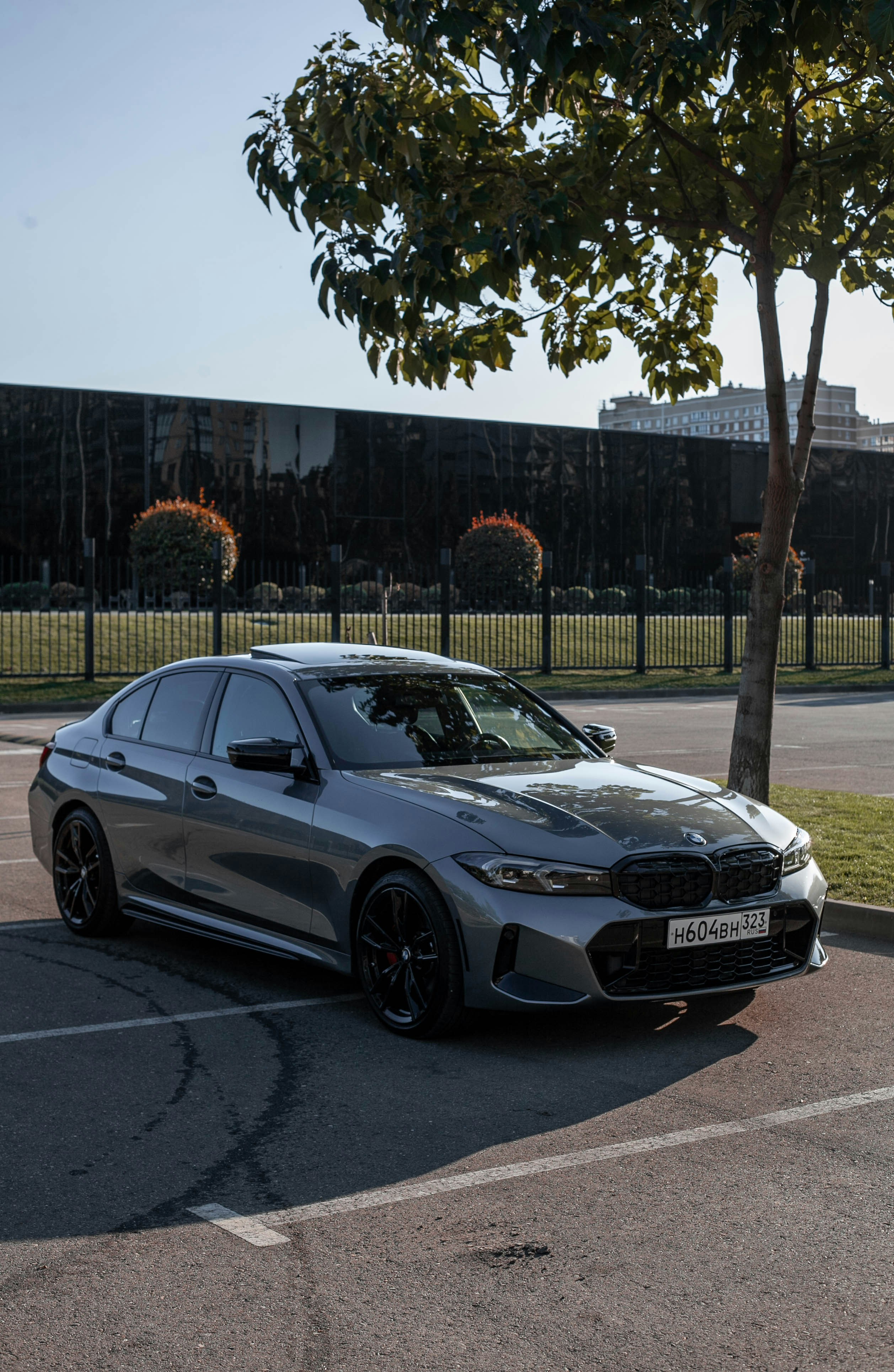 Gray BMW sedan parked under a tree