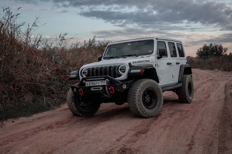 Jeep Wrangler Rubicon Ağ