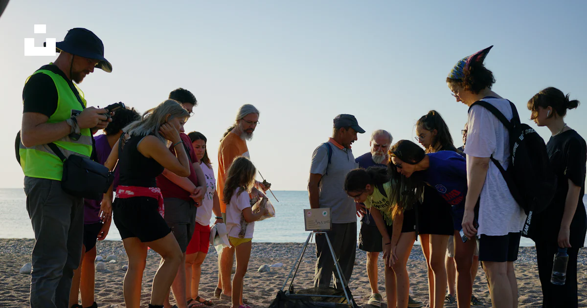Observing In Group Group of people observing something on a beach. photo – Free Beach ...