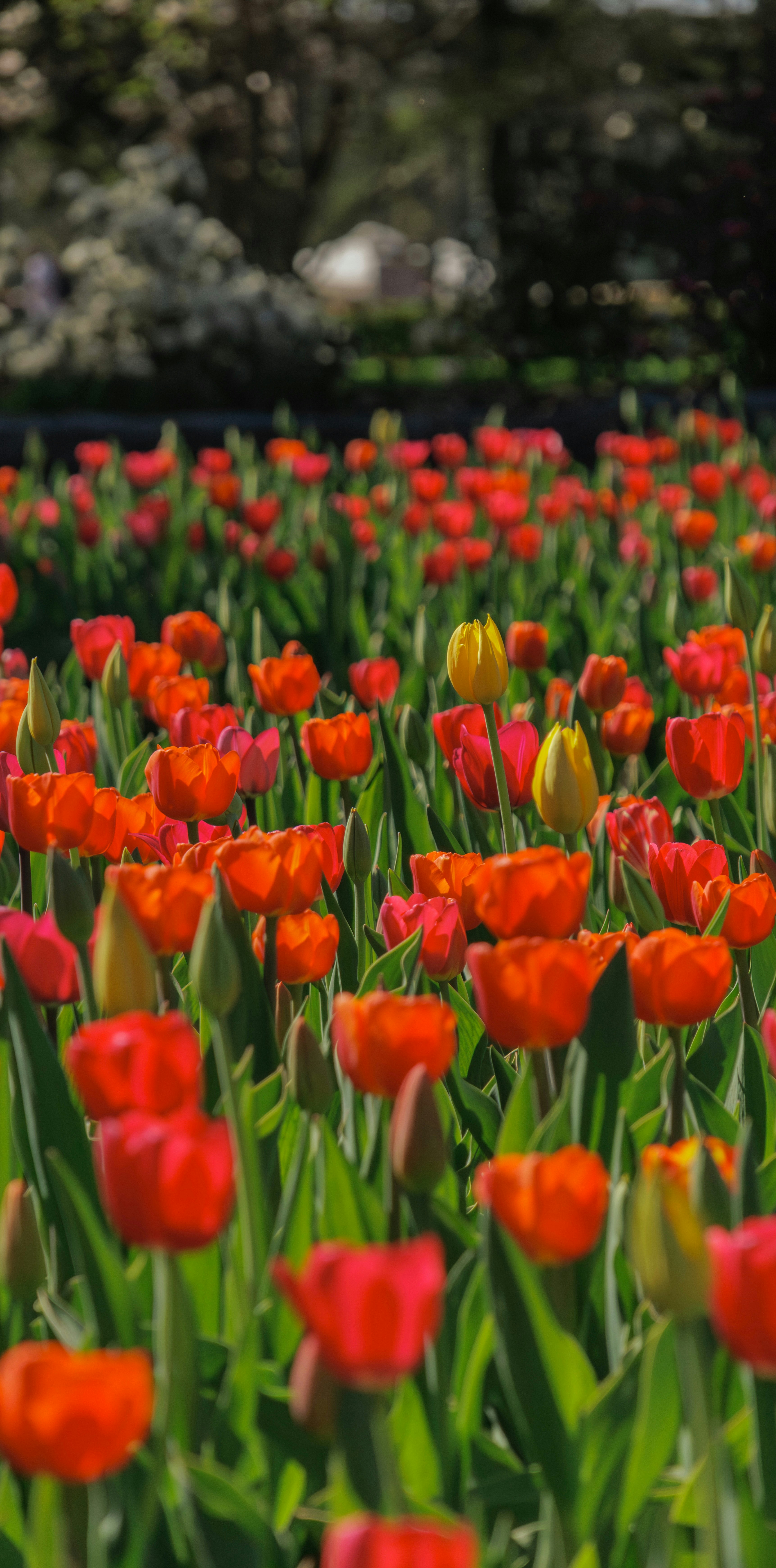 Photo by abdelkader1001