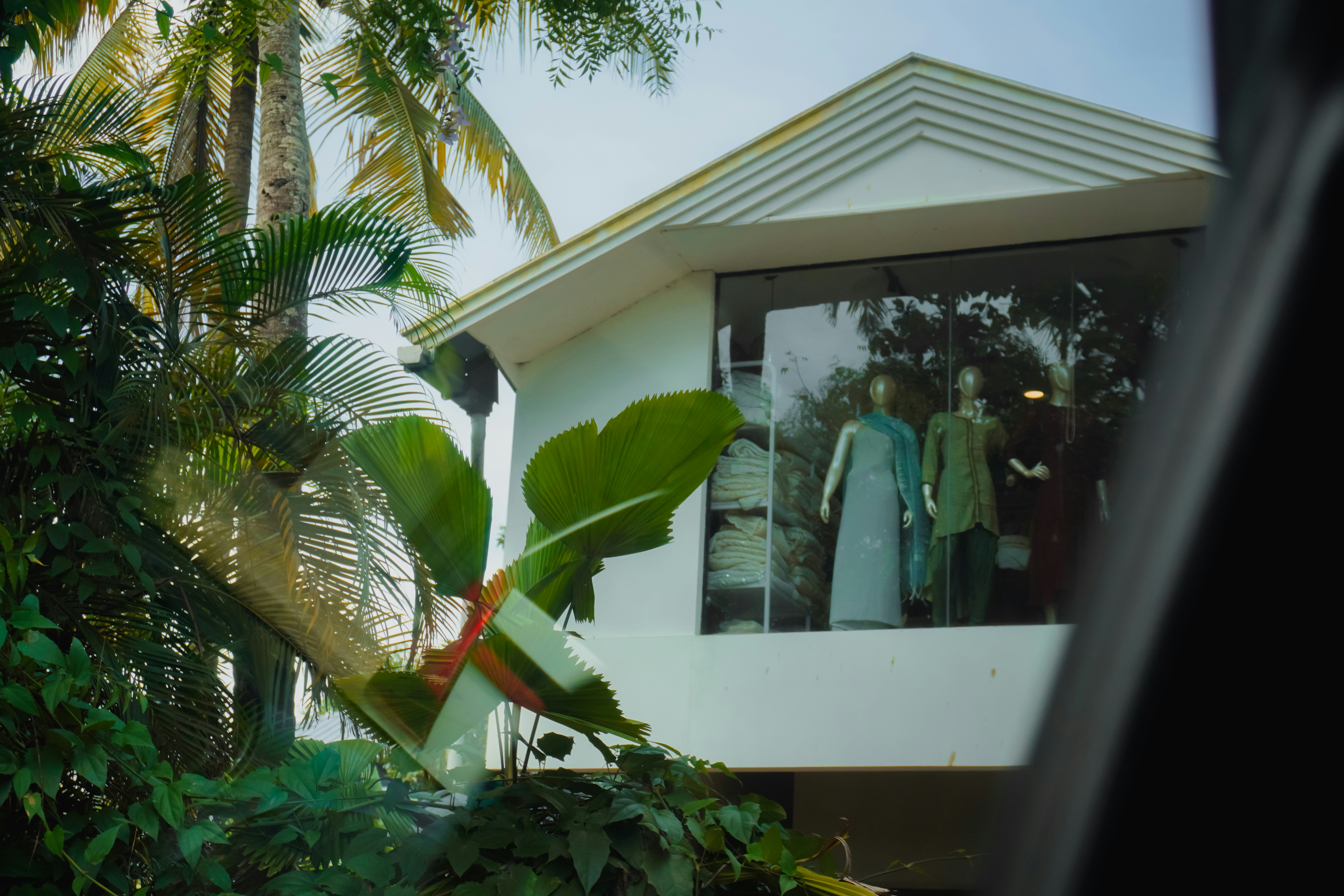 Mannequins in a store window with palm trees.