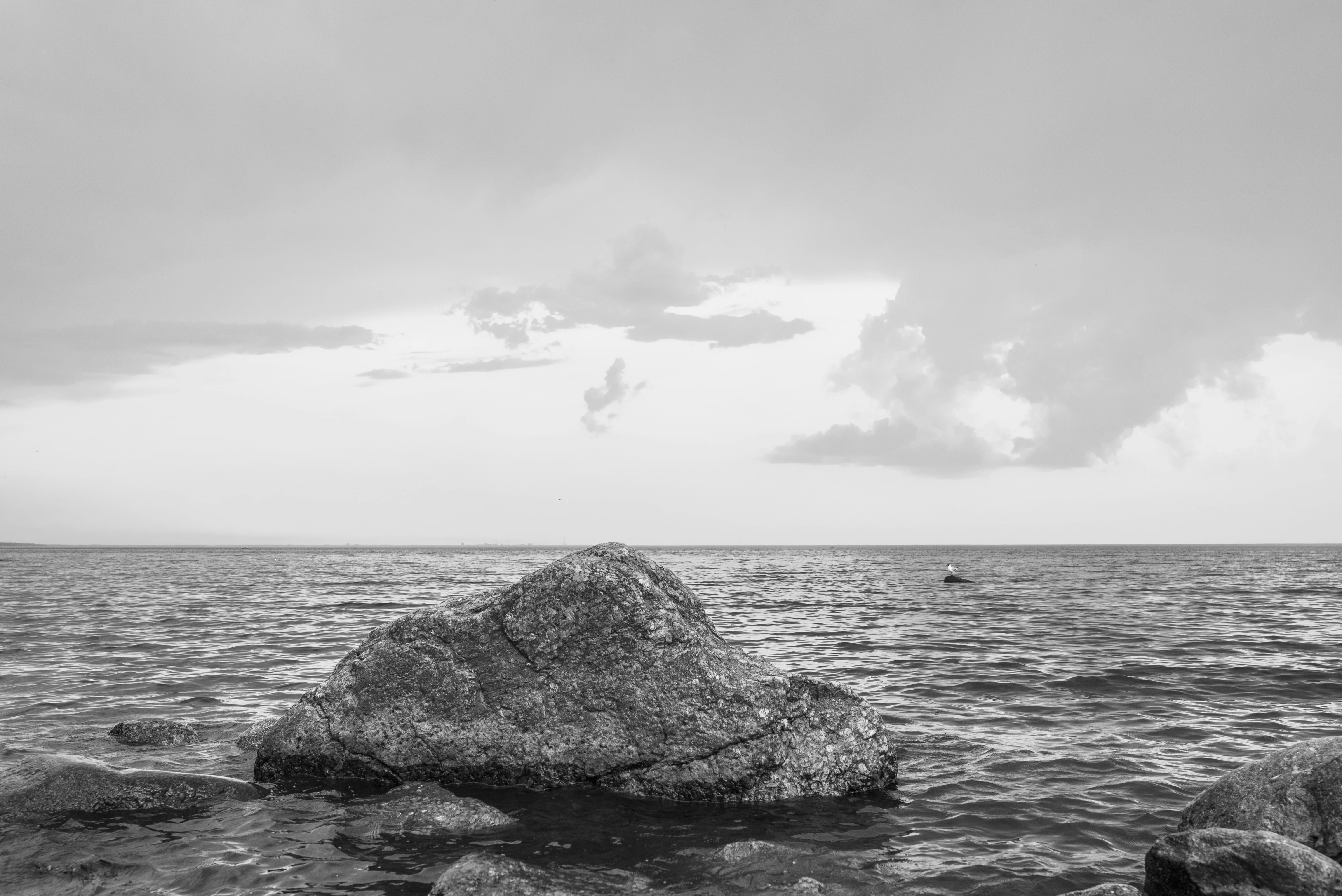 Photo by yuri_tretyakov