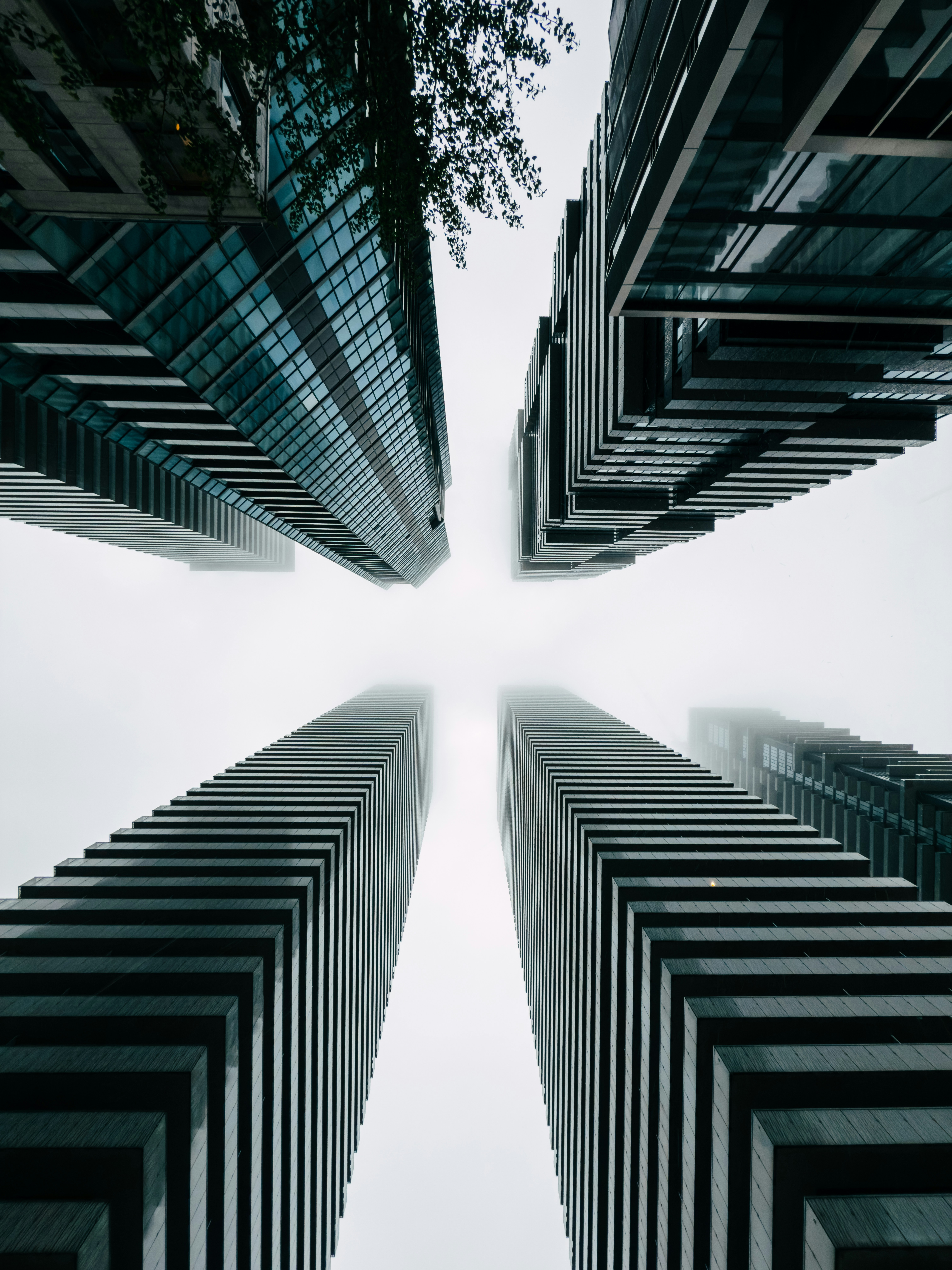 Modern skyscrapers viewed from below on a foggy day.