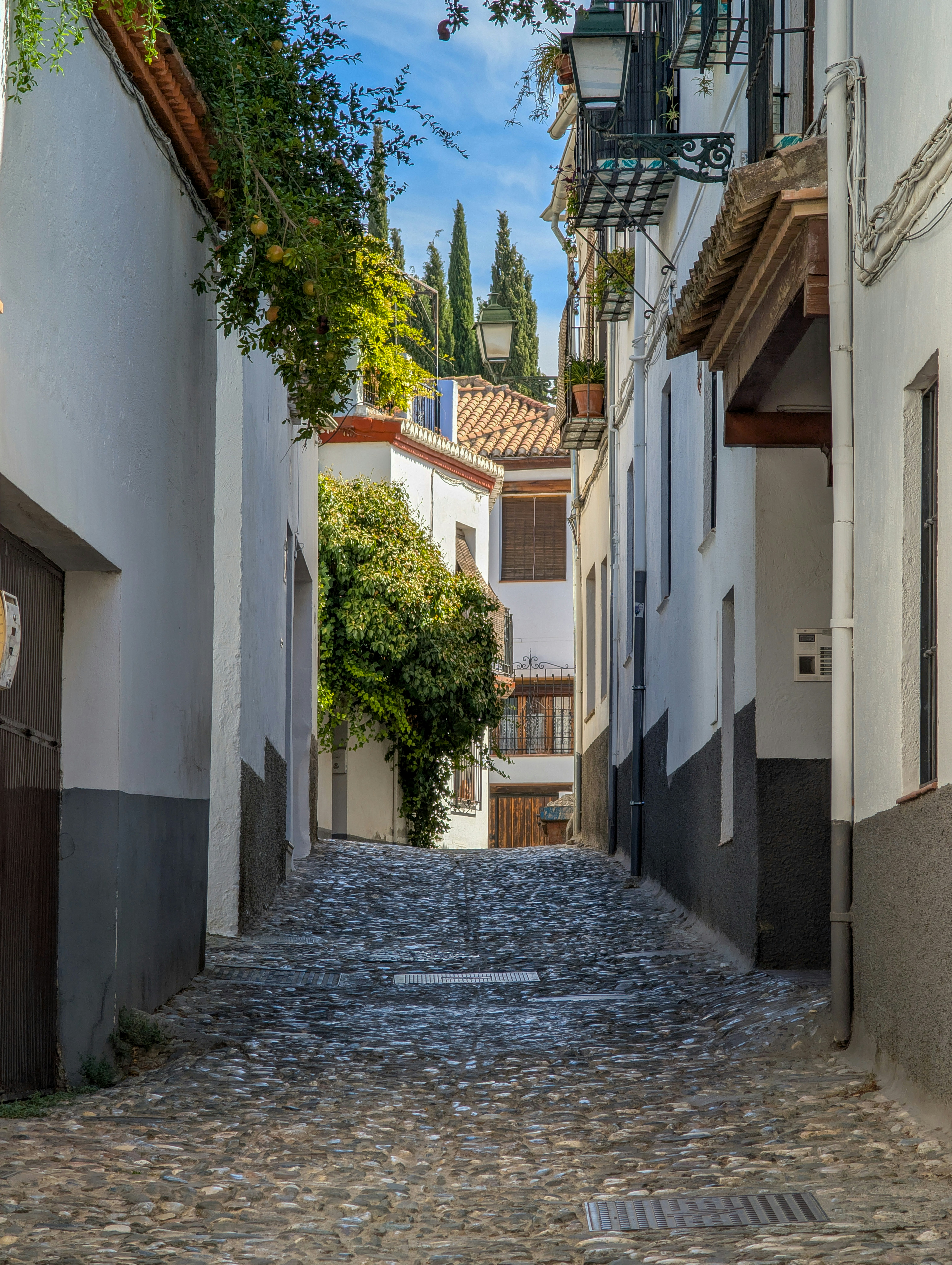 Cobblestone alleyway with white buildings and greenery