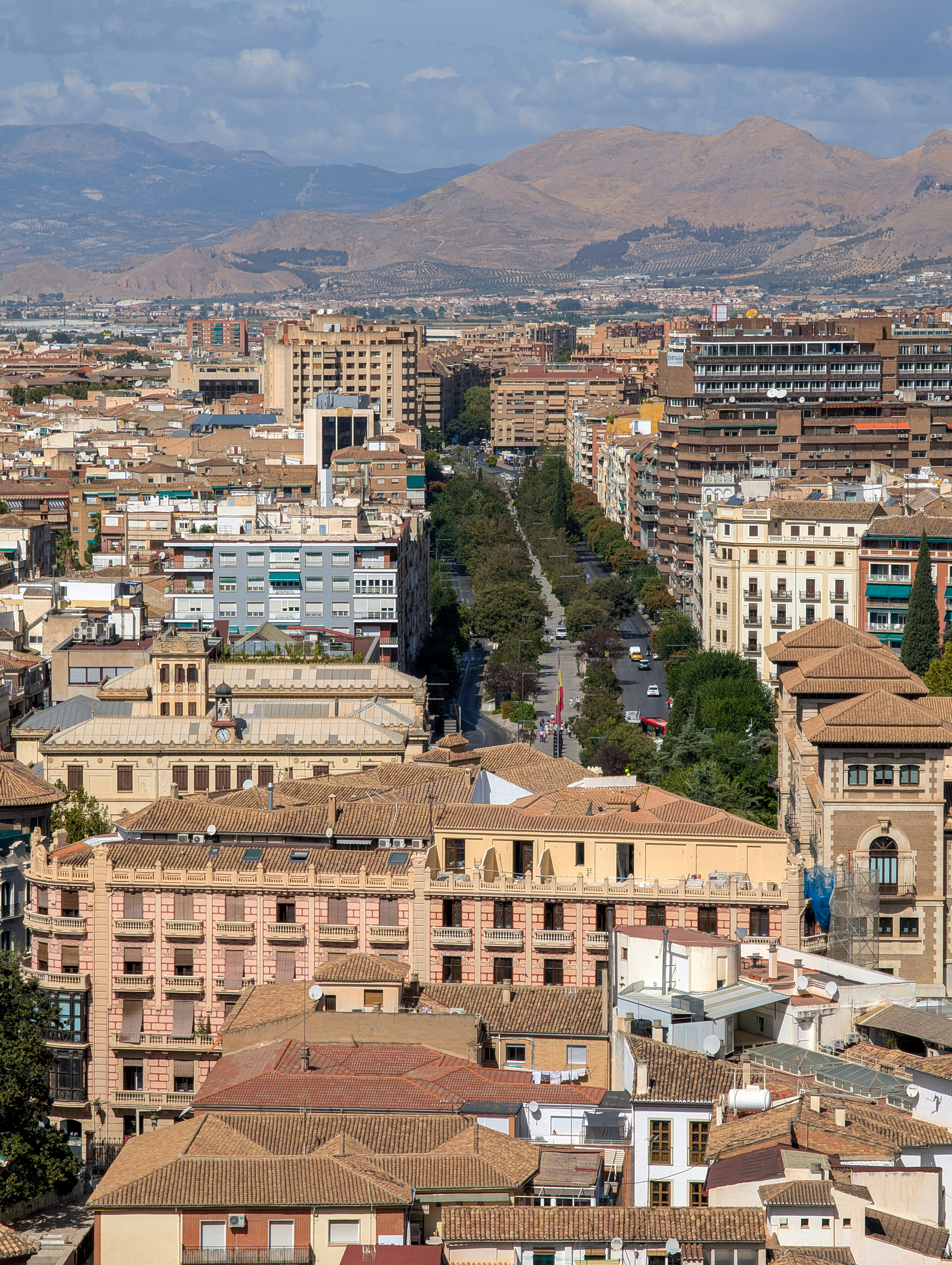 Los 20 mejores expertos en automatización de informes ejecutivos en Granada