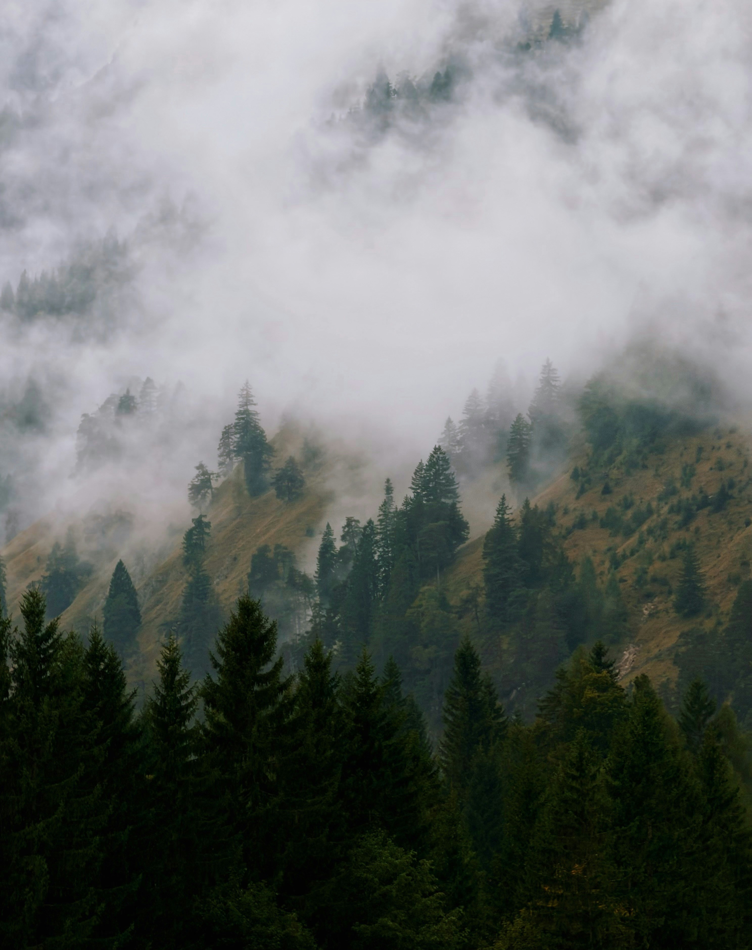 Photo by lyapotasasha