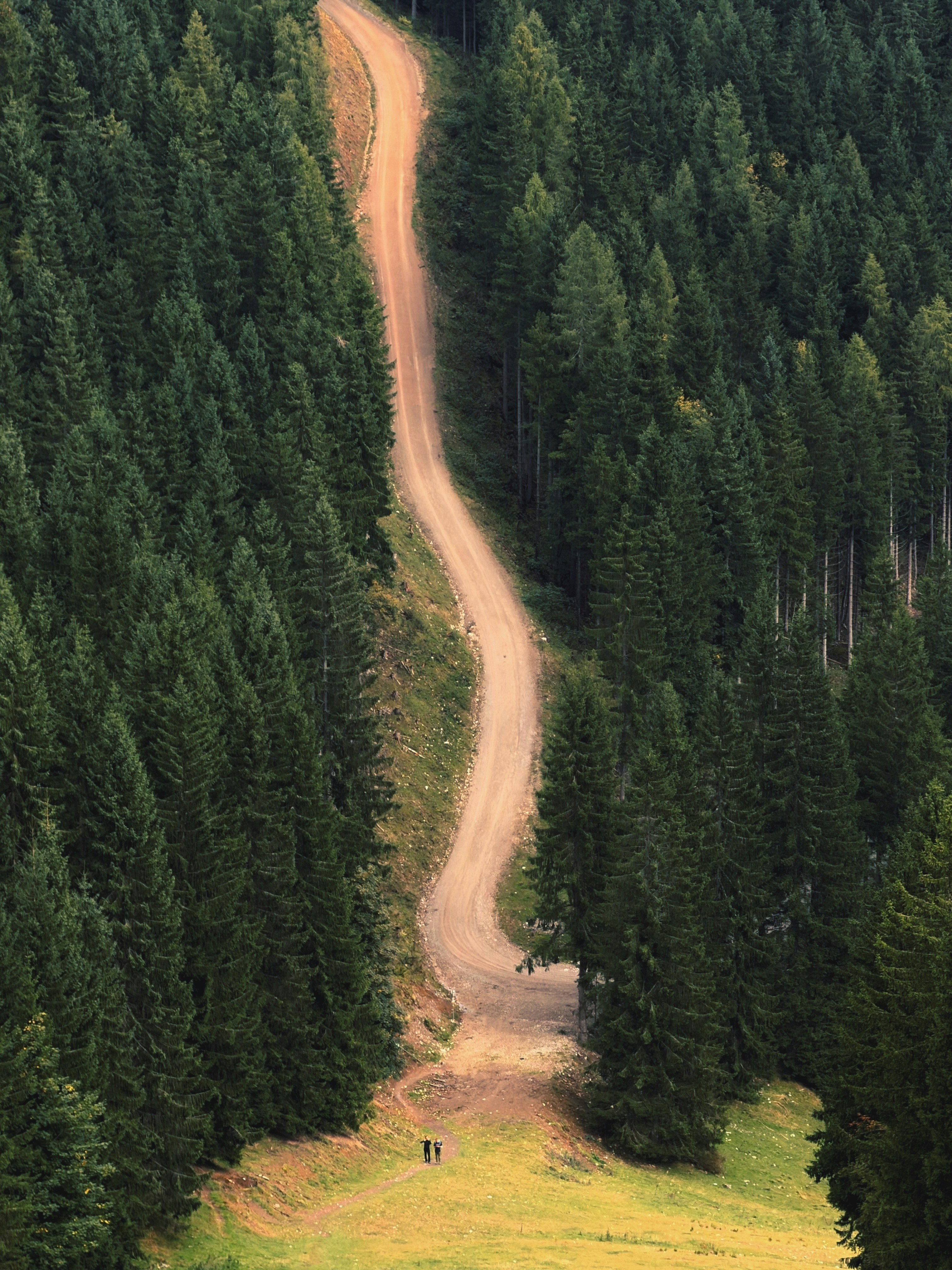 Photo by lyapotasasha