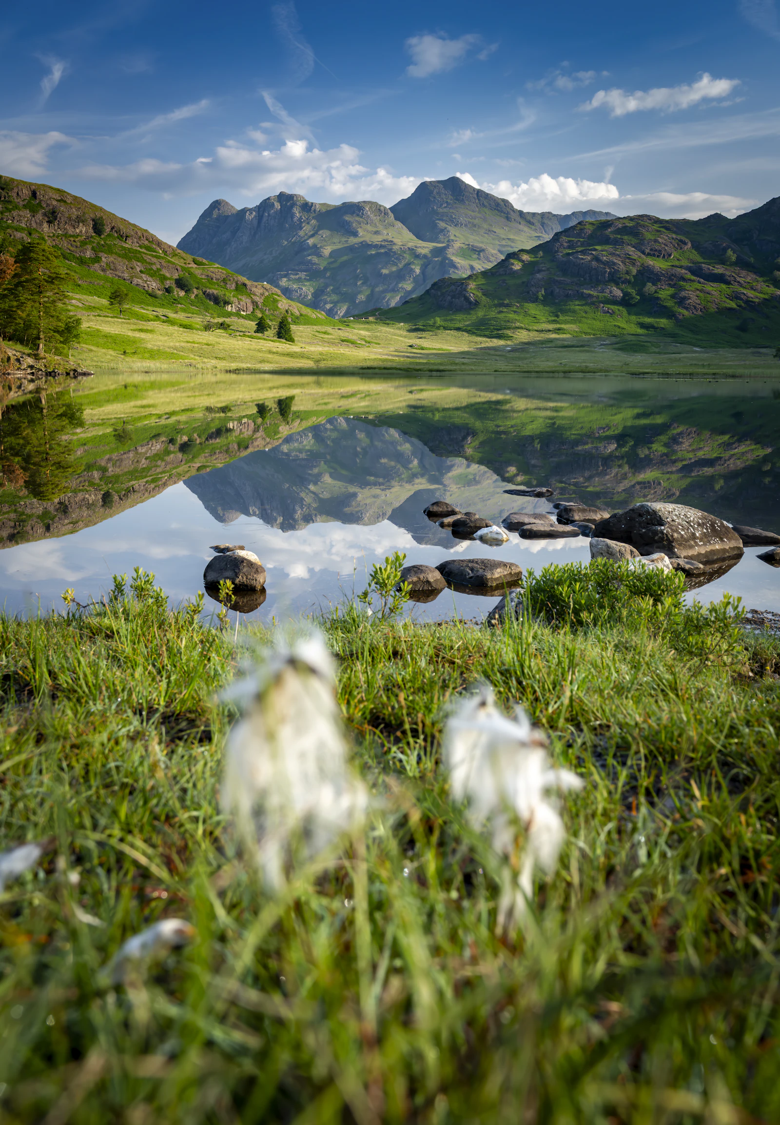 Berglandschaft spiegelt sich in einem ruhigen See
