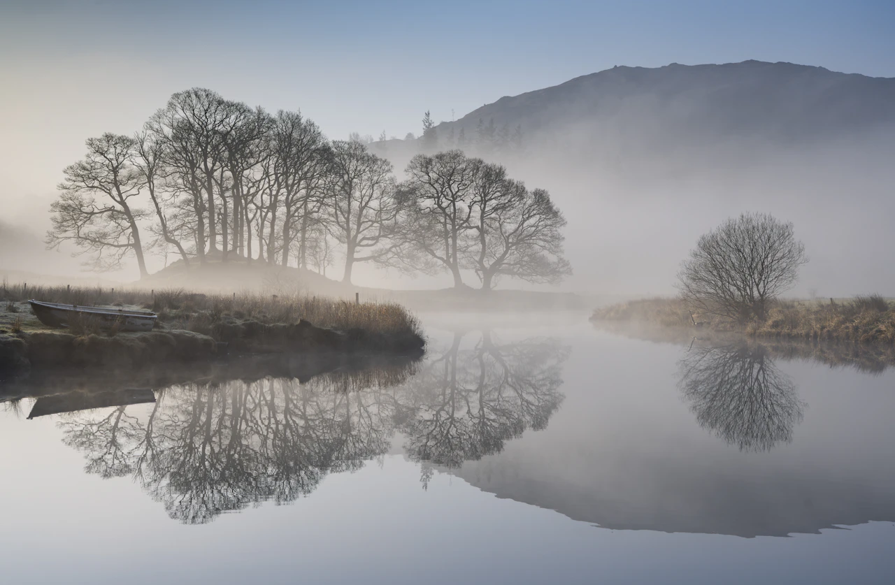Misty morning landscape with bare trees reflected in water