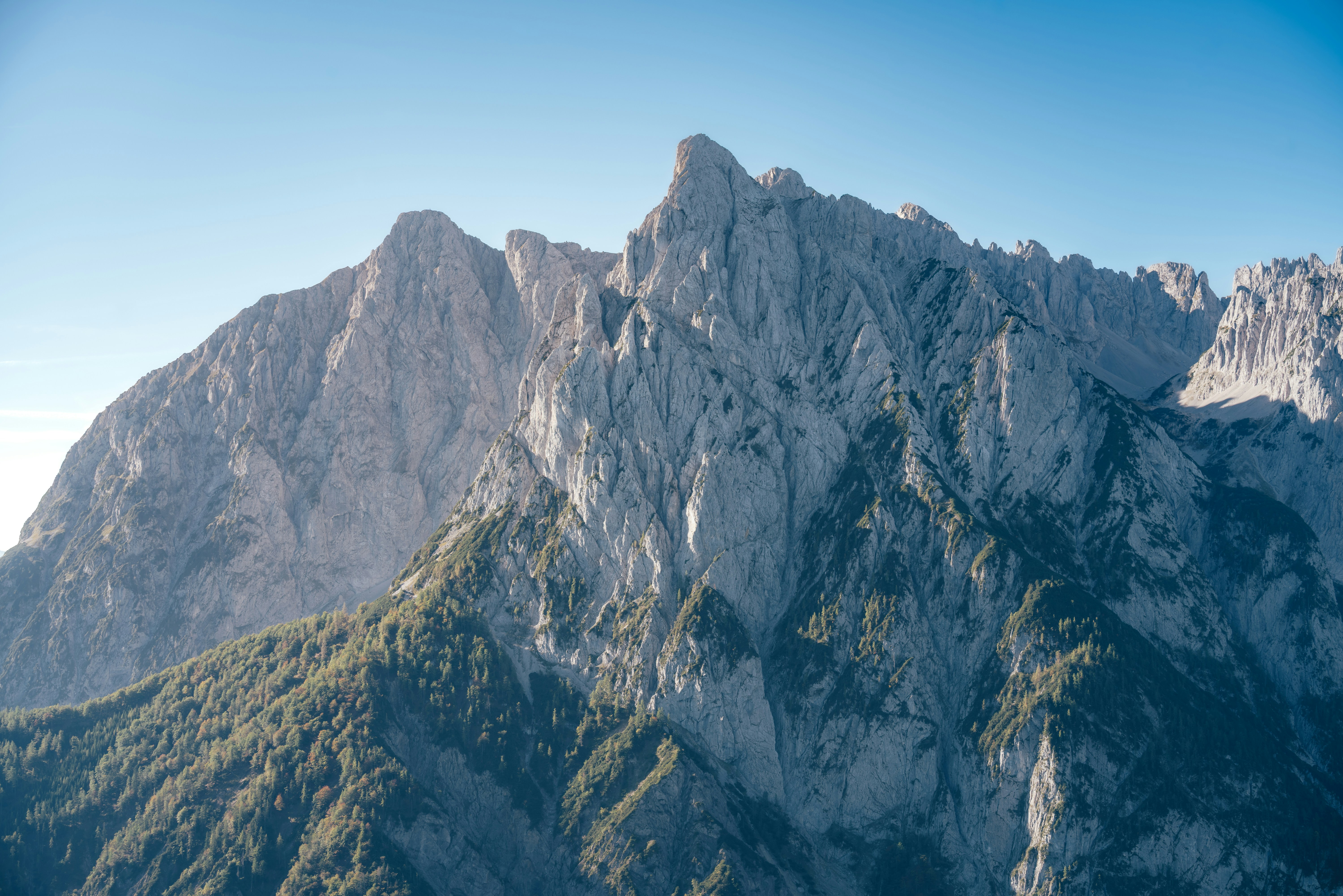 Photo by danielsessler