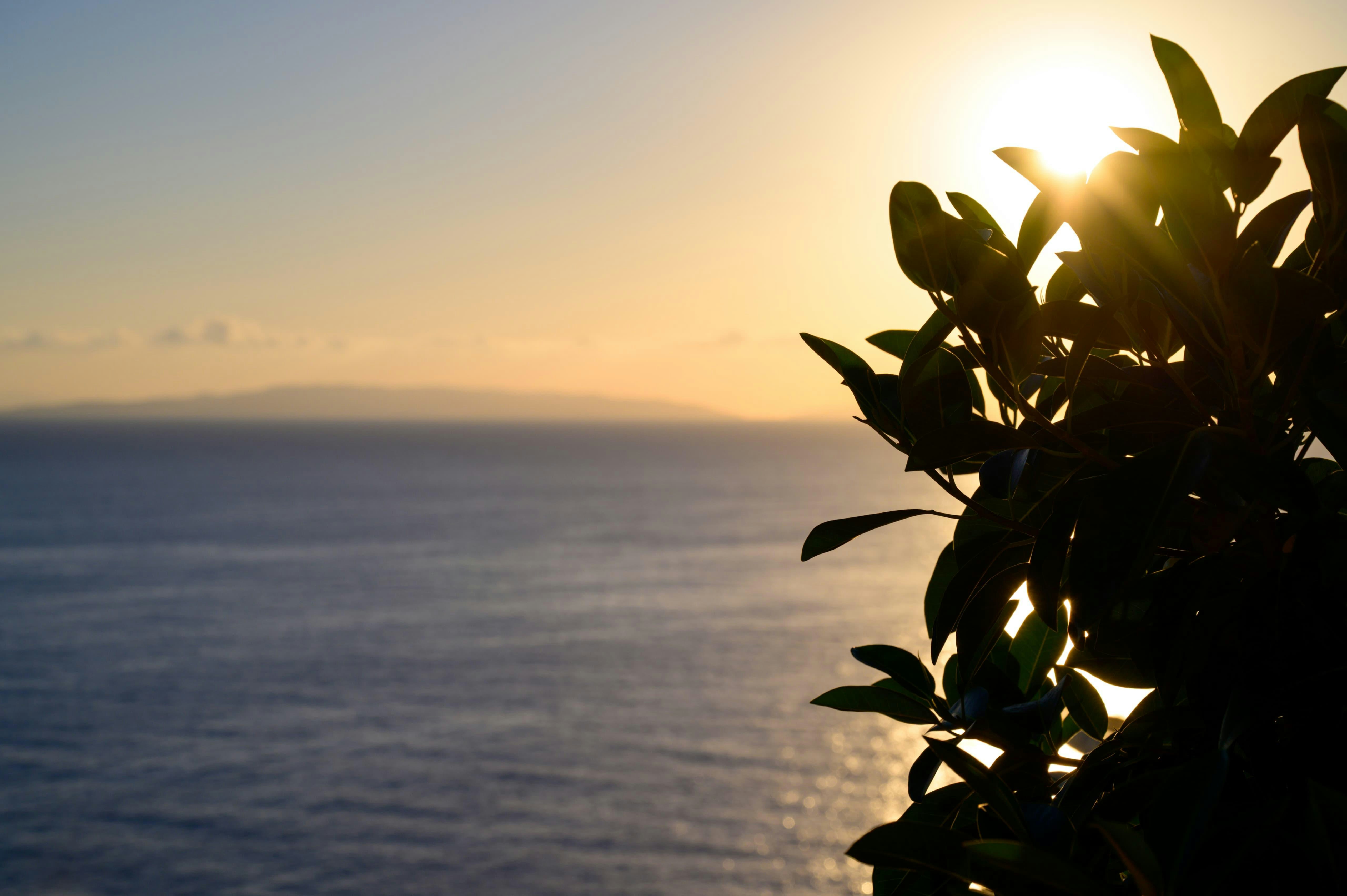 Photo by ruben_aster