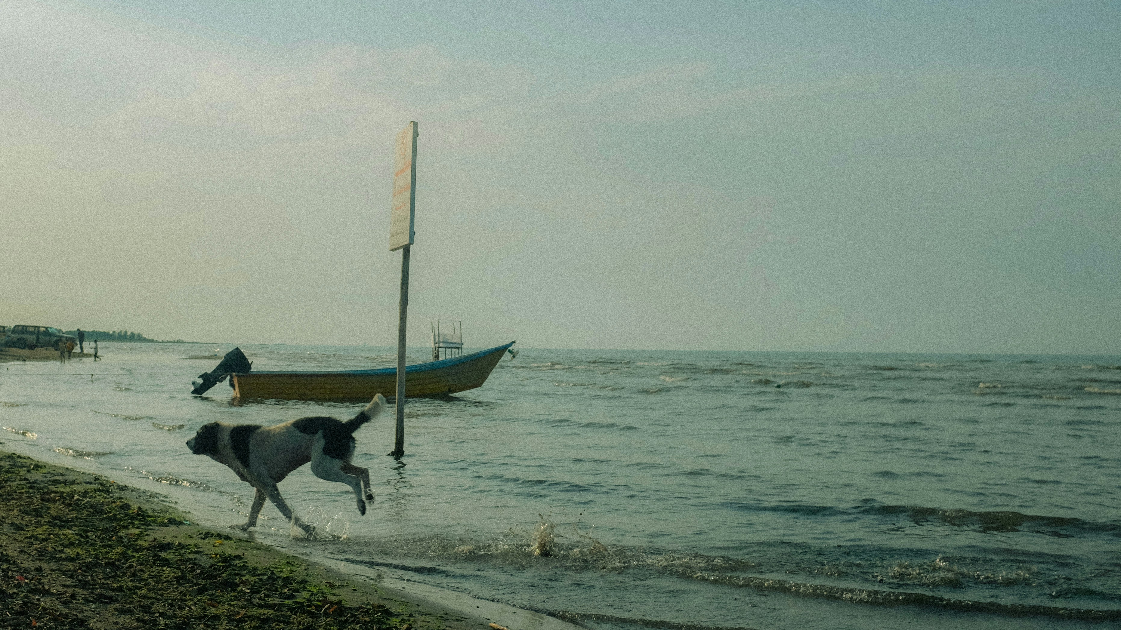 영화 파반느 결말 해석 및 원작 소설 차이점 이미지1