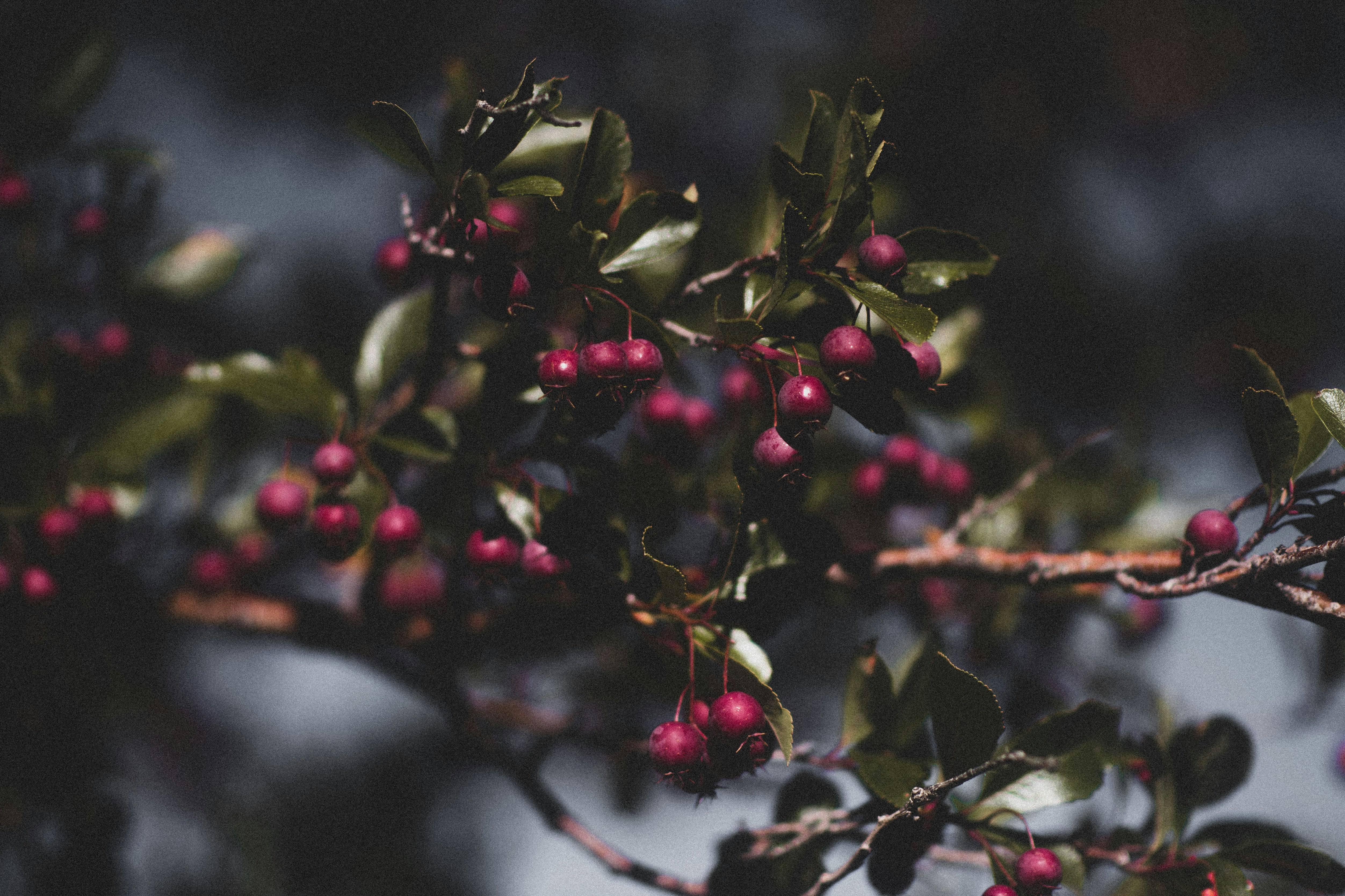 Photo by tayannphoto