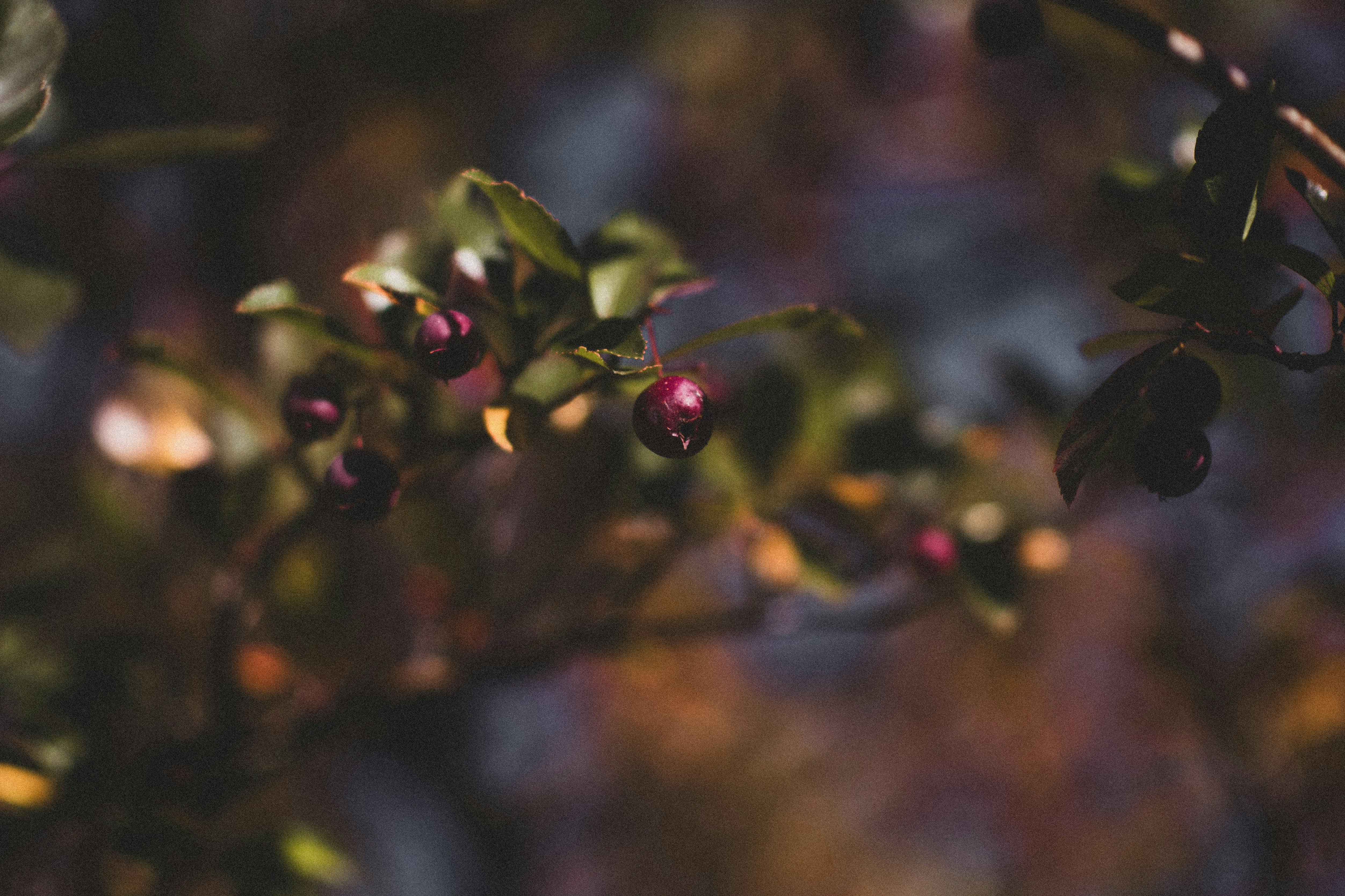 Photo by tayannphoto