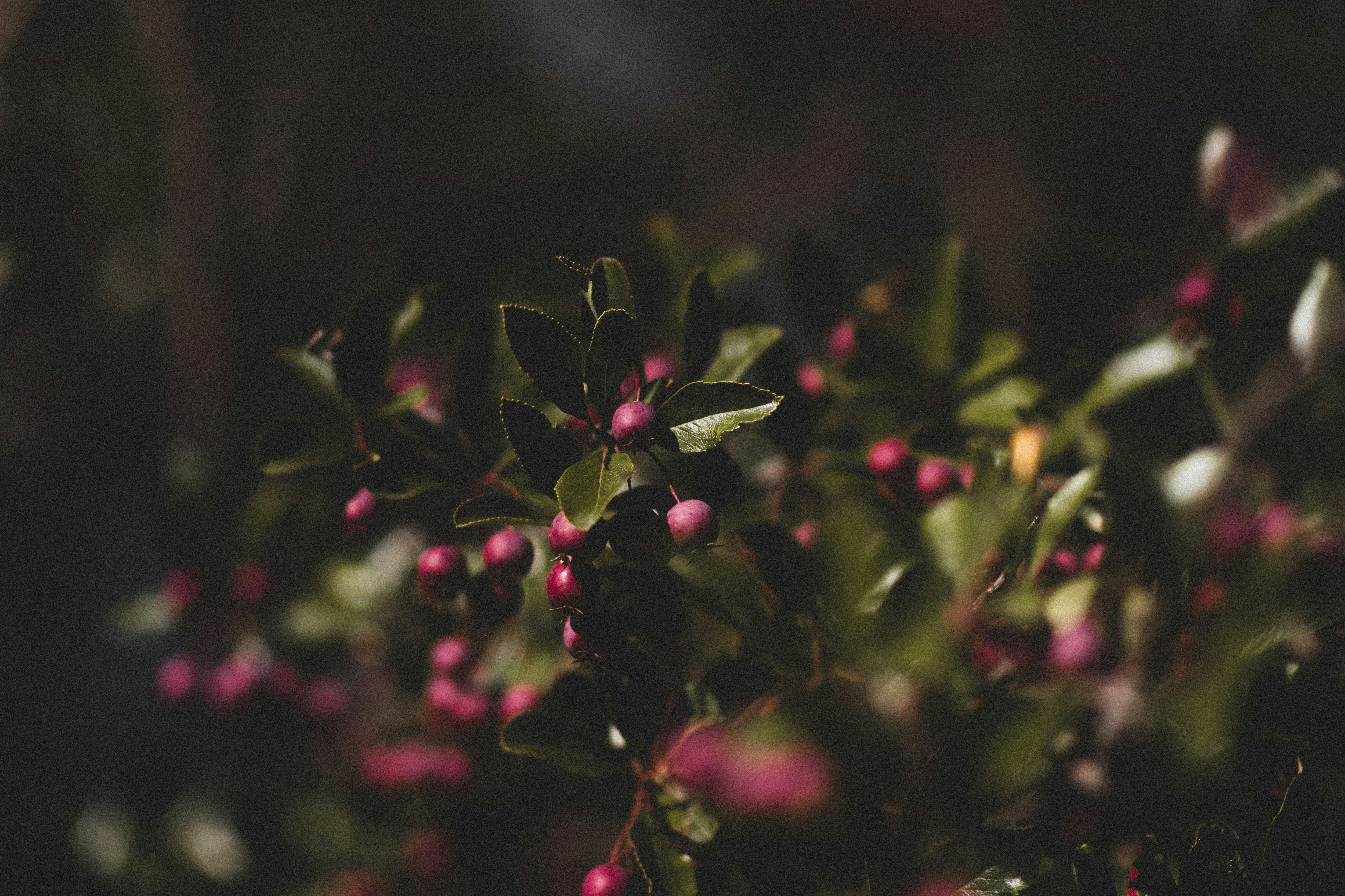 Photo by tayannphoto