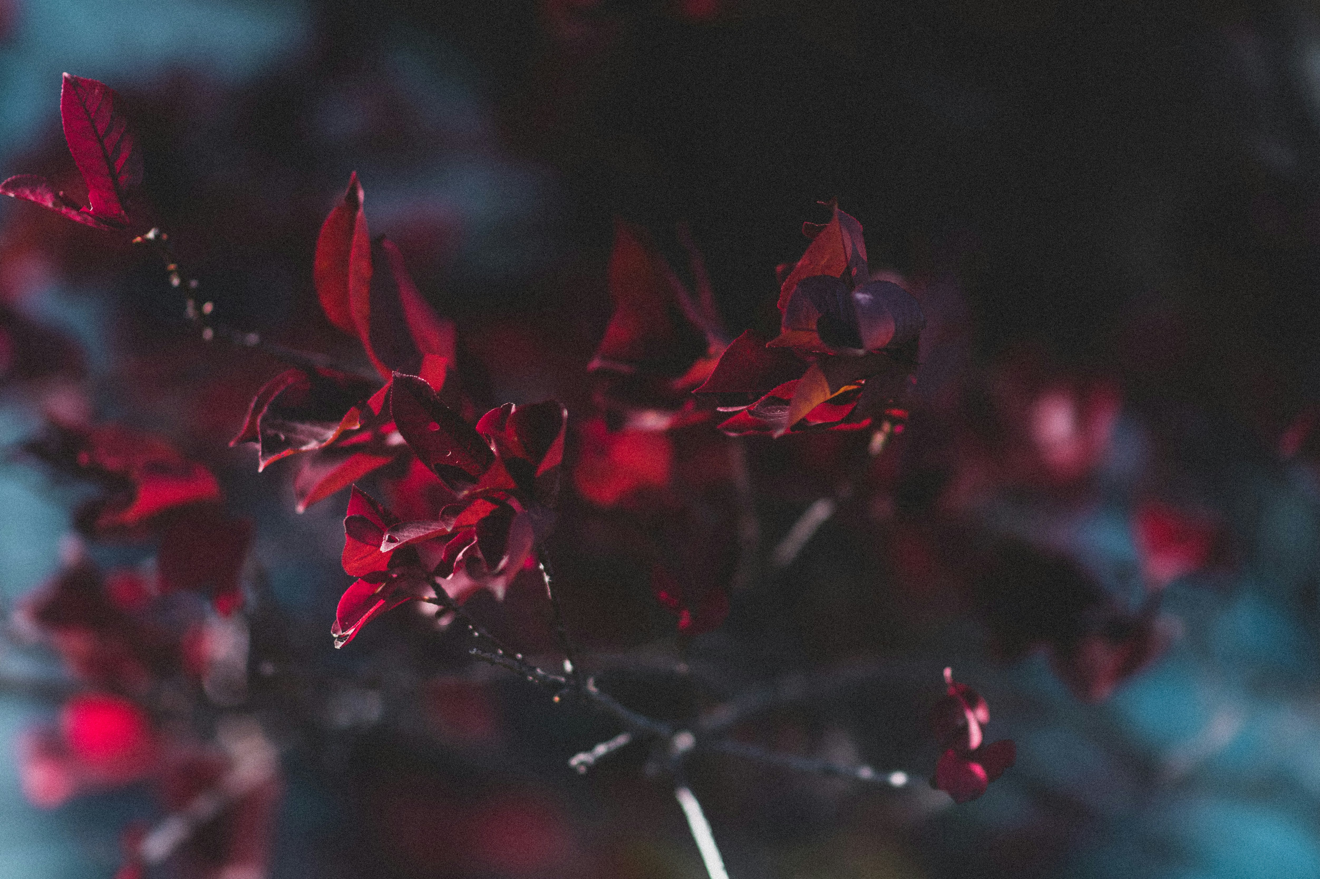 Photo by tayannphoto