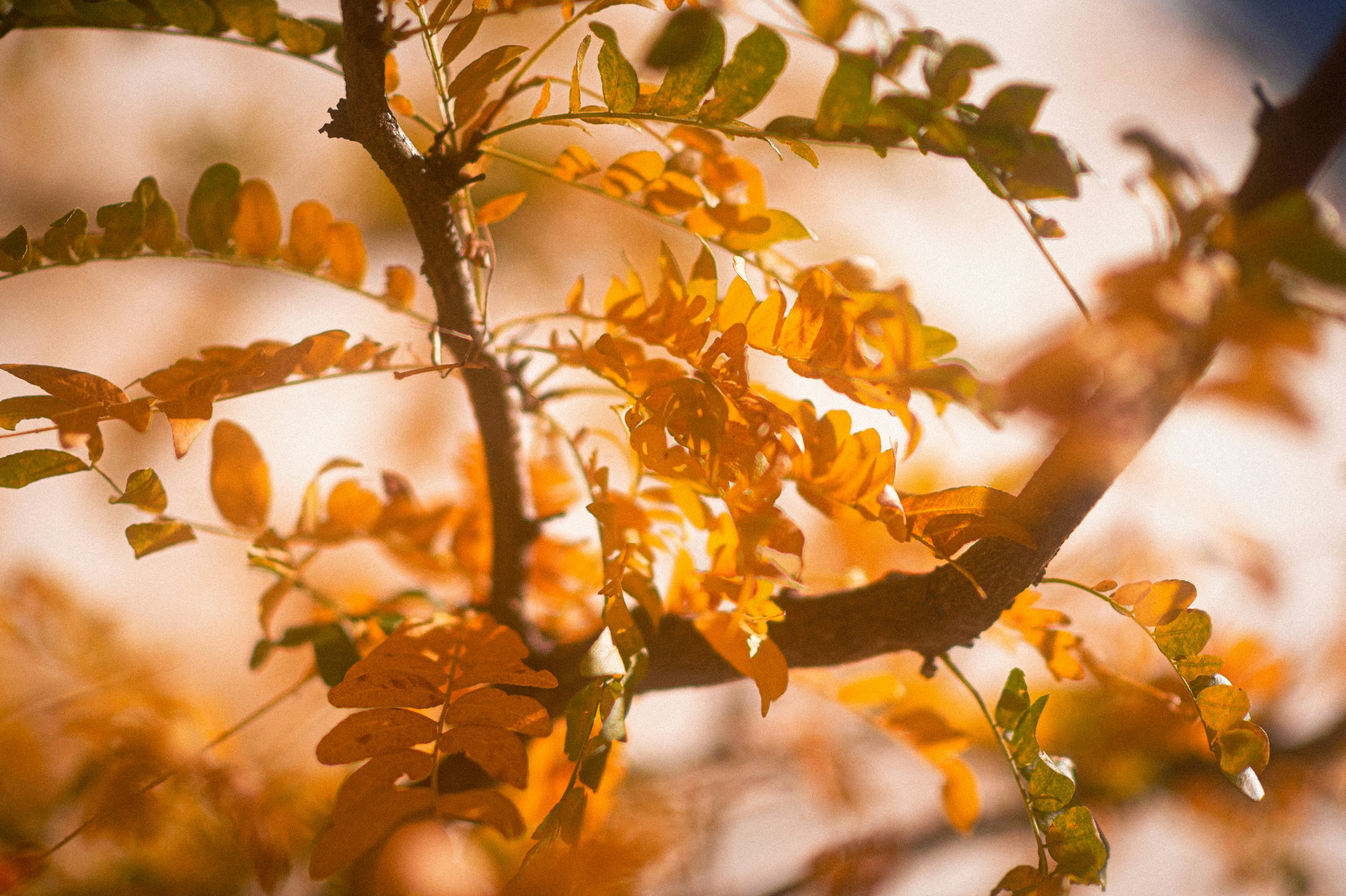 Photo by tayannphoto