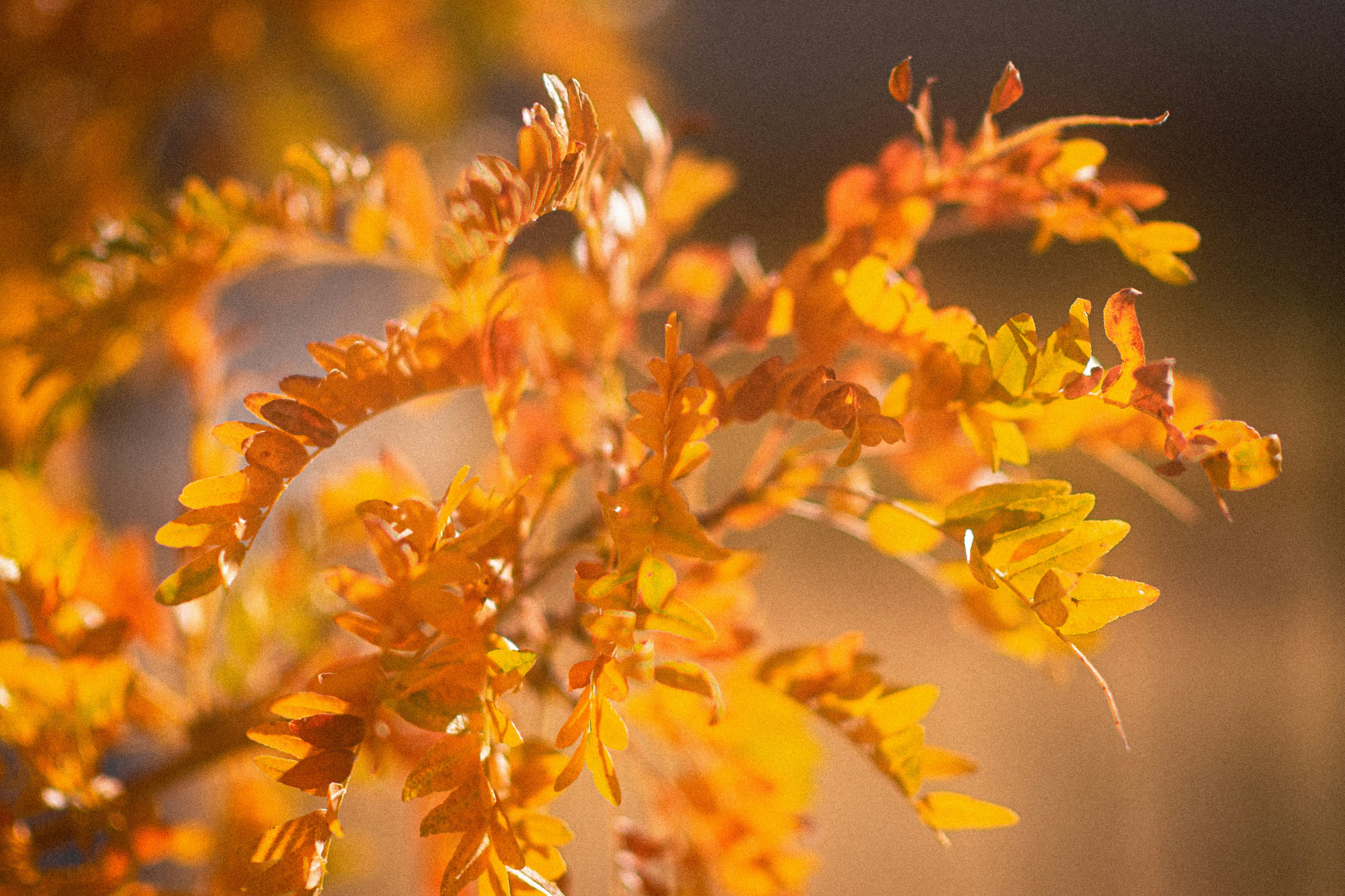 Photo by tayannphoto