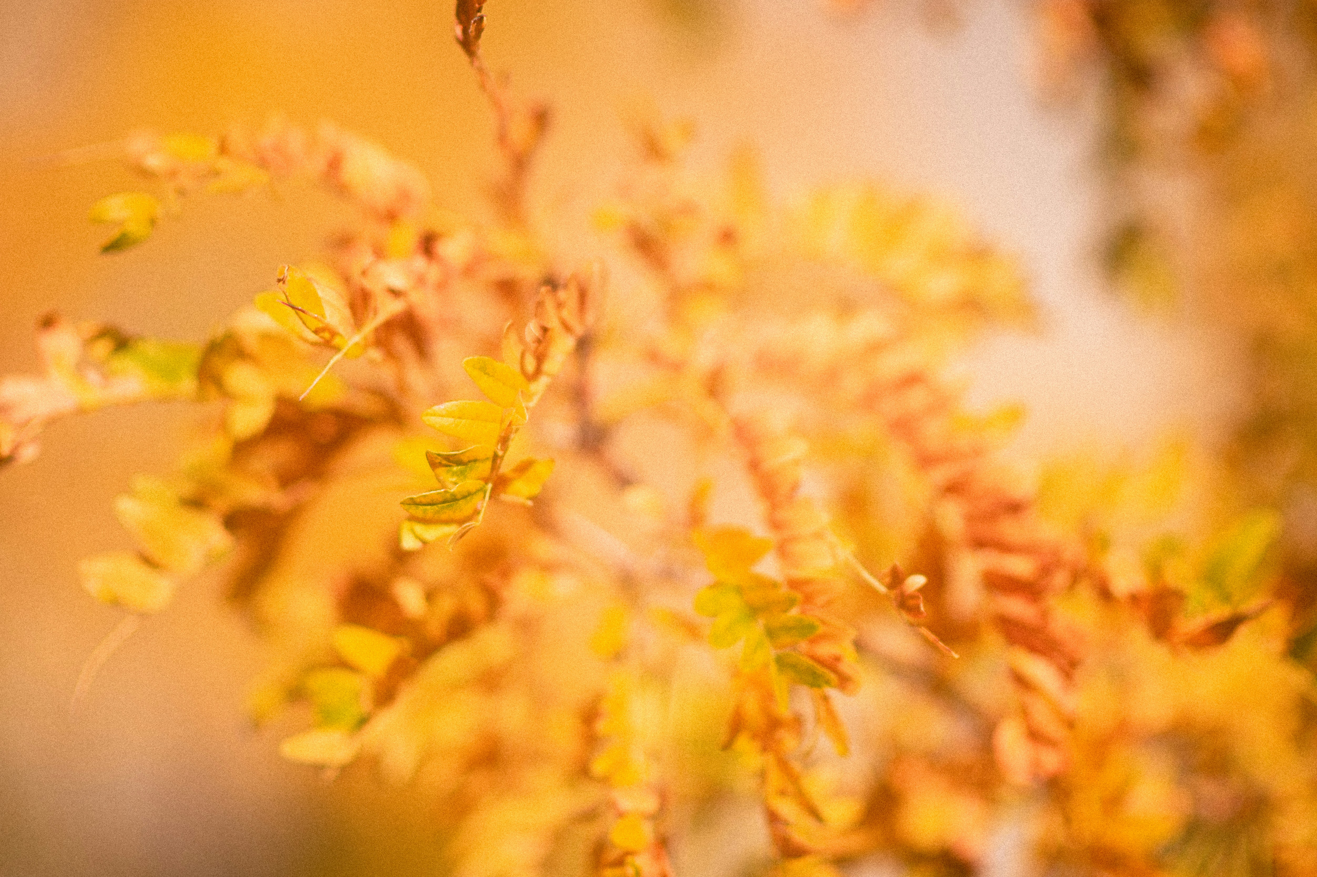 Photo by tayannphoto