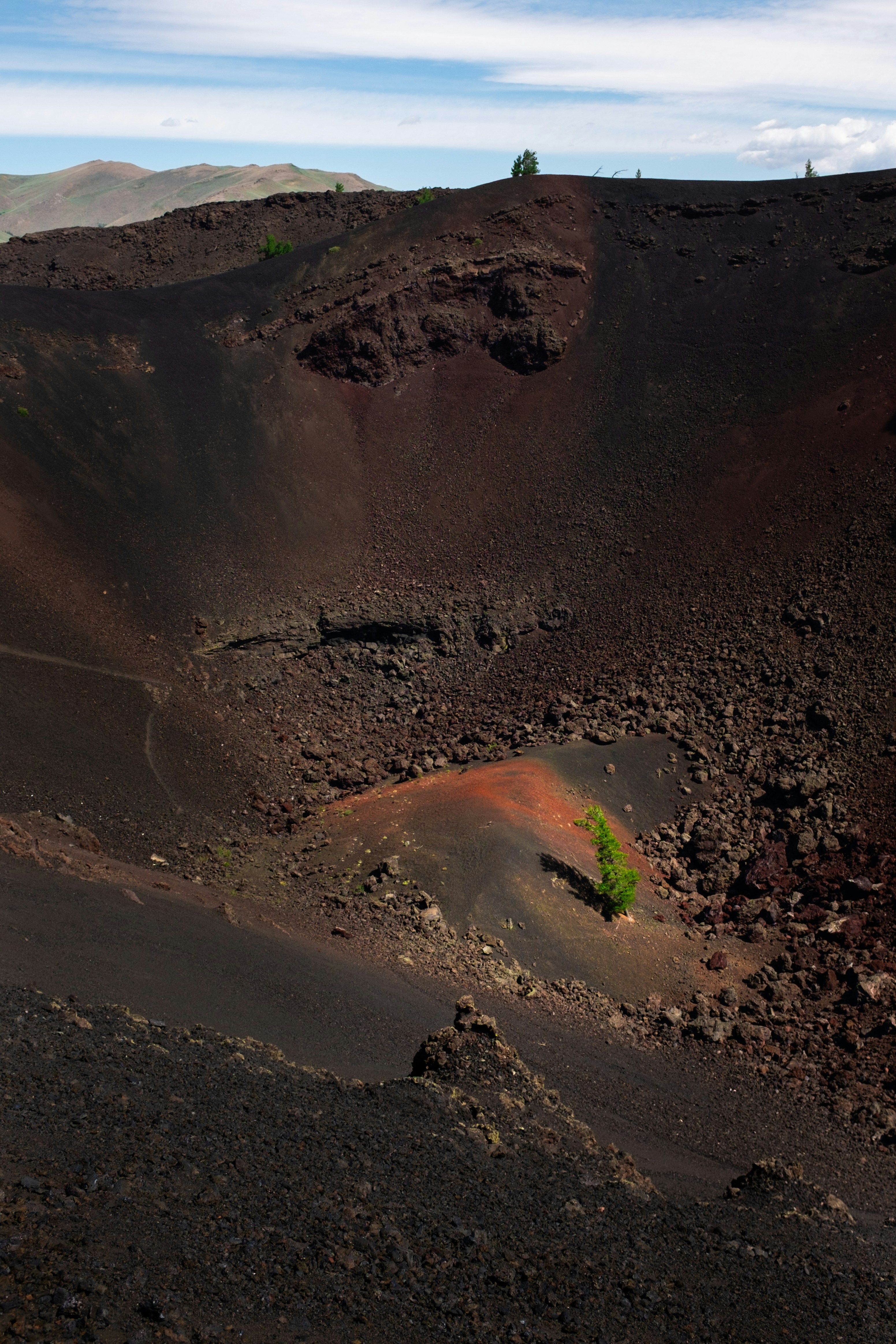 A lone tree grows in a barren volcanic crater.