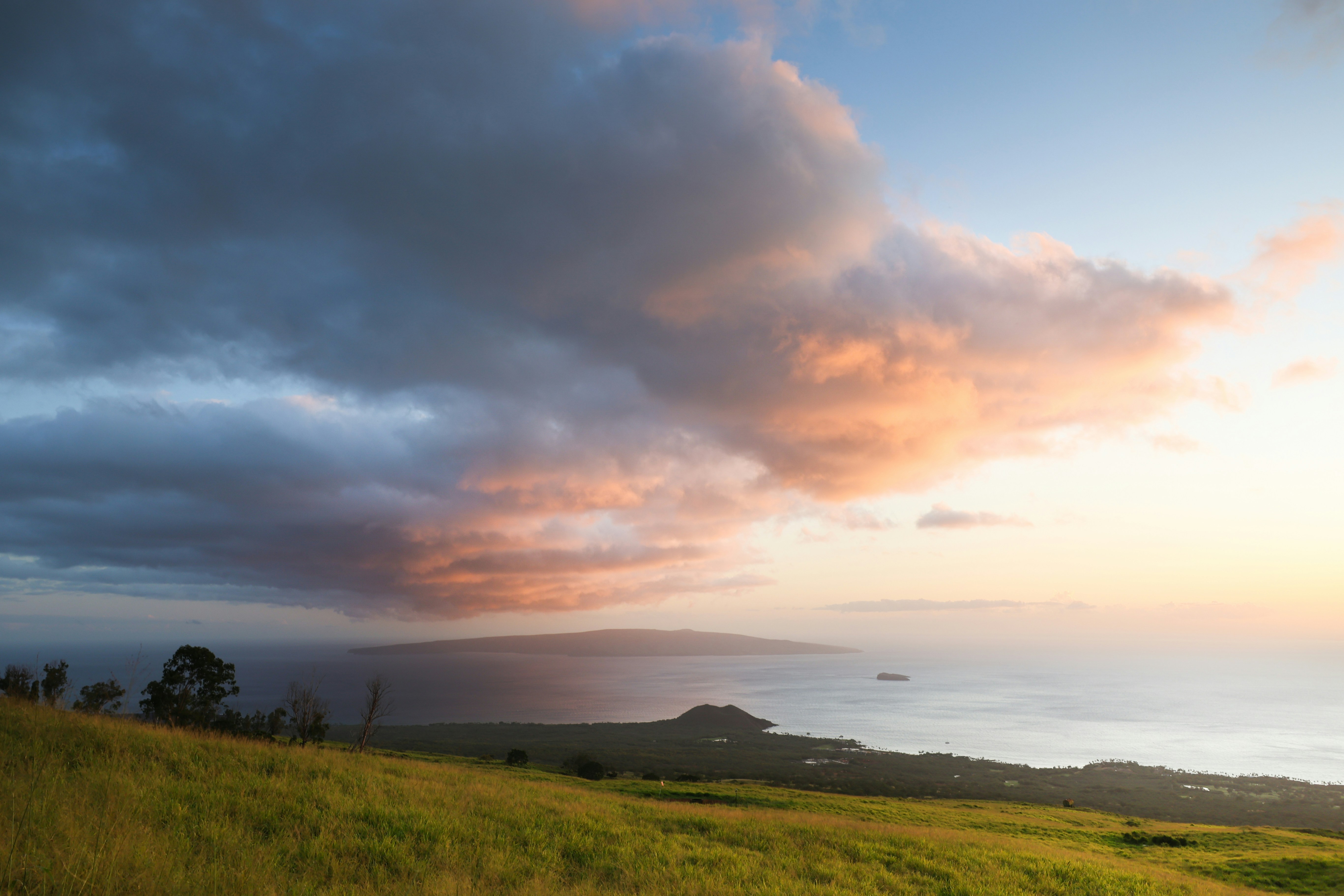 Grassy hill overlooking ocean at sunset