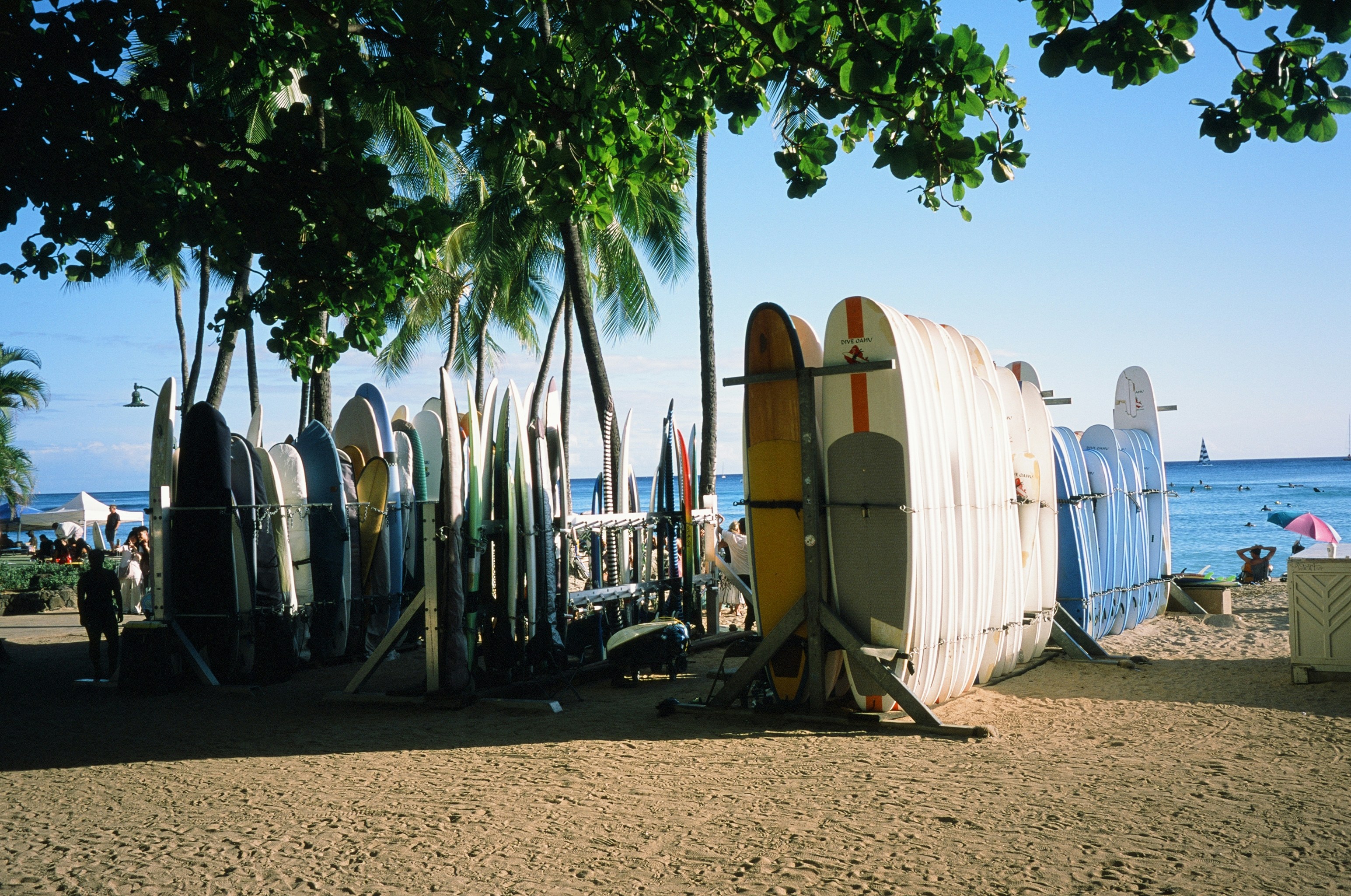 Surfboards lined up on a sandy beach near ocean.