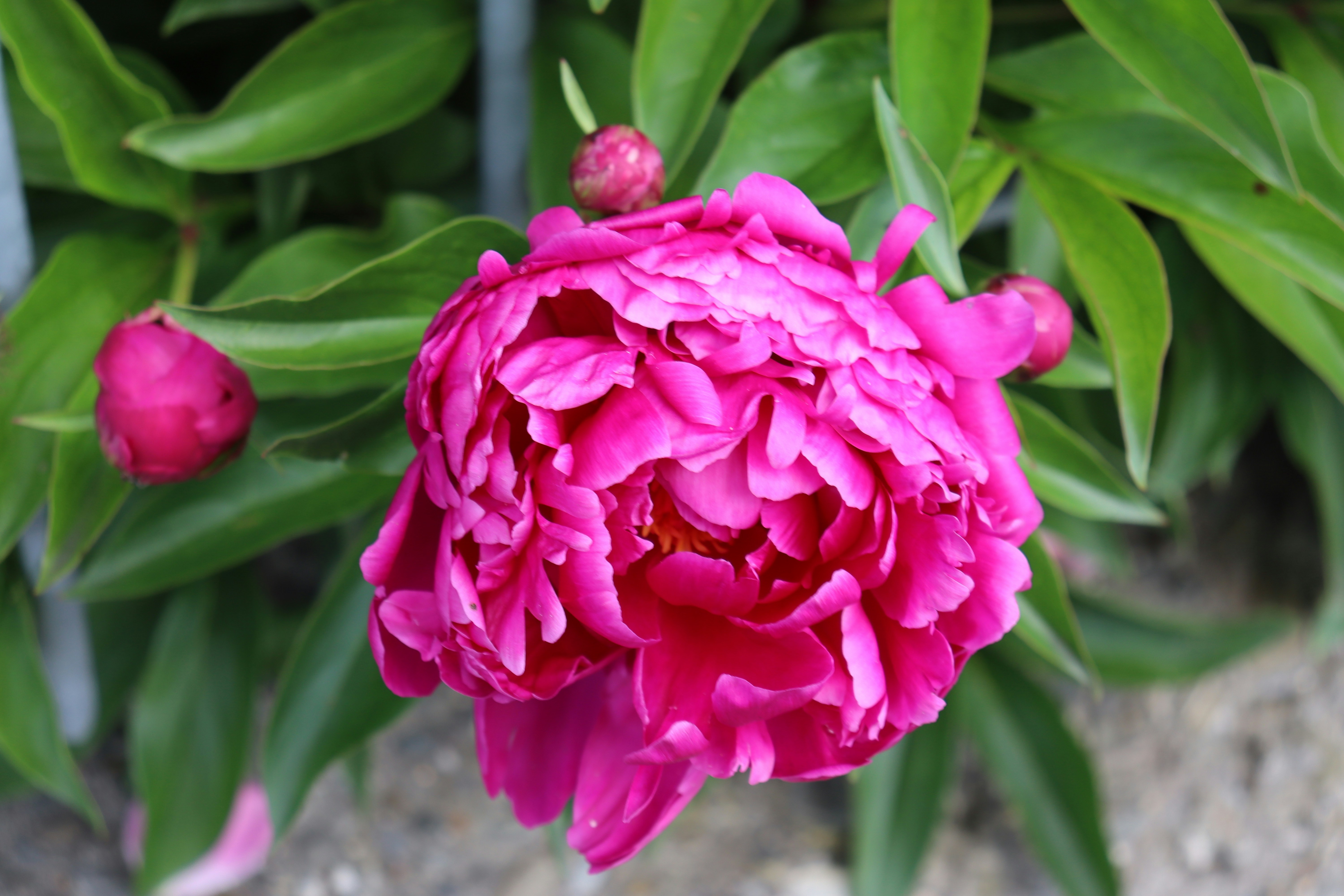 Photo by ninaricarda