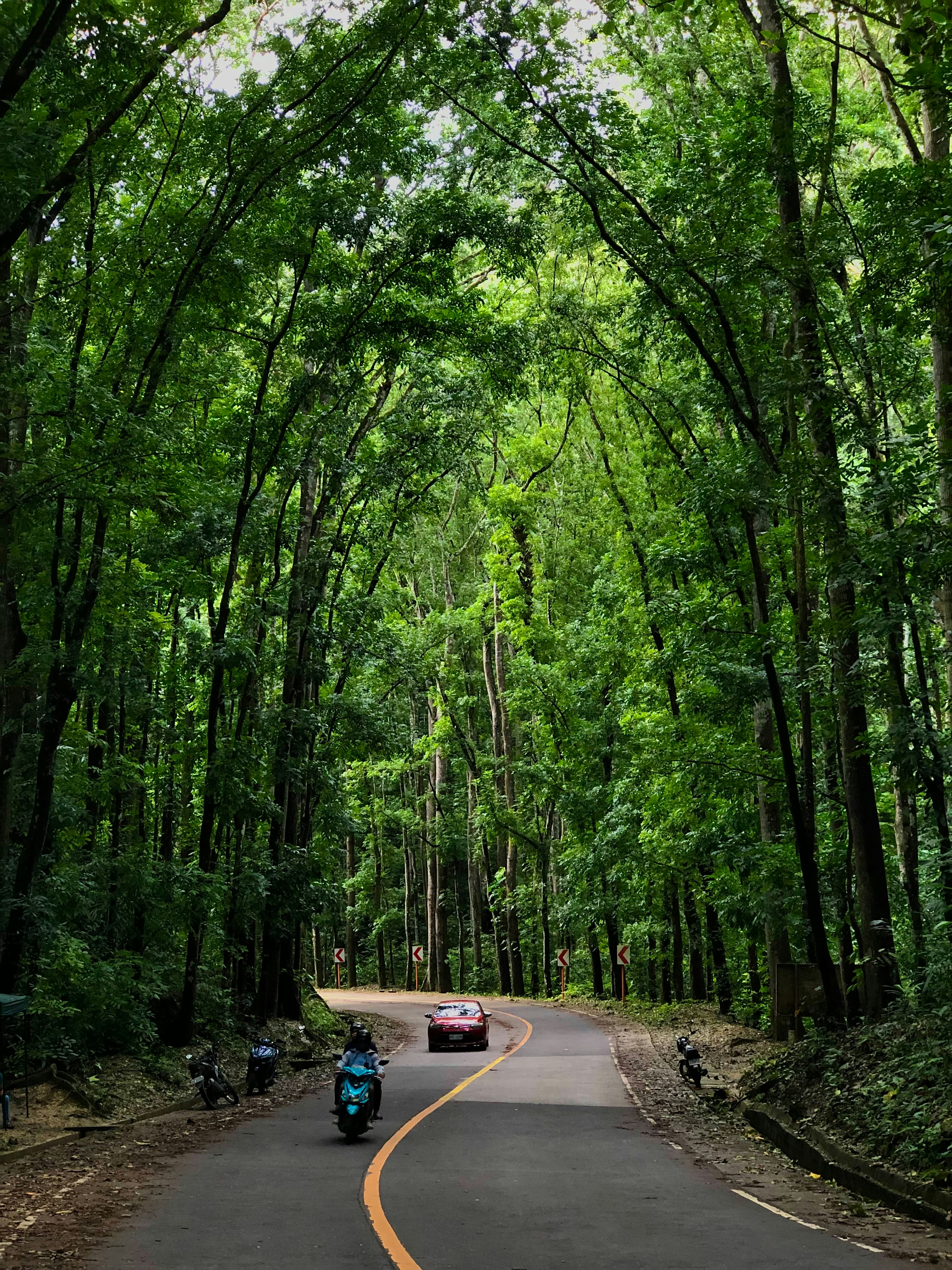 Photo by maksimplekhanov