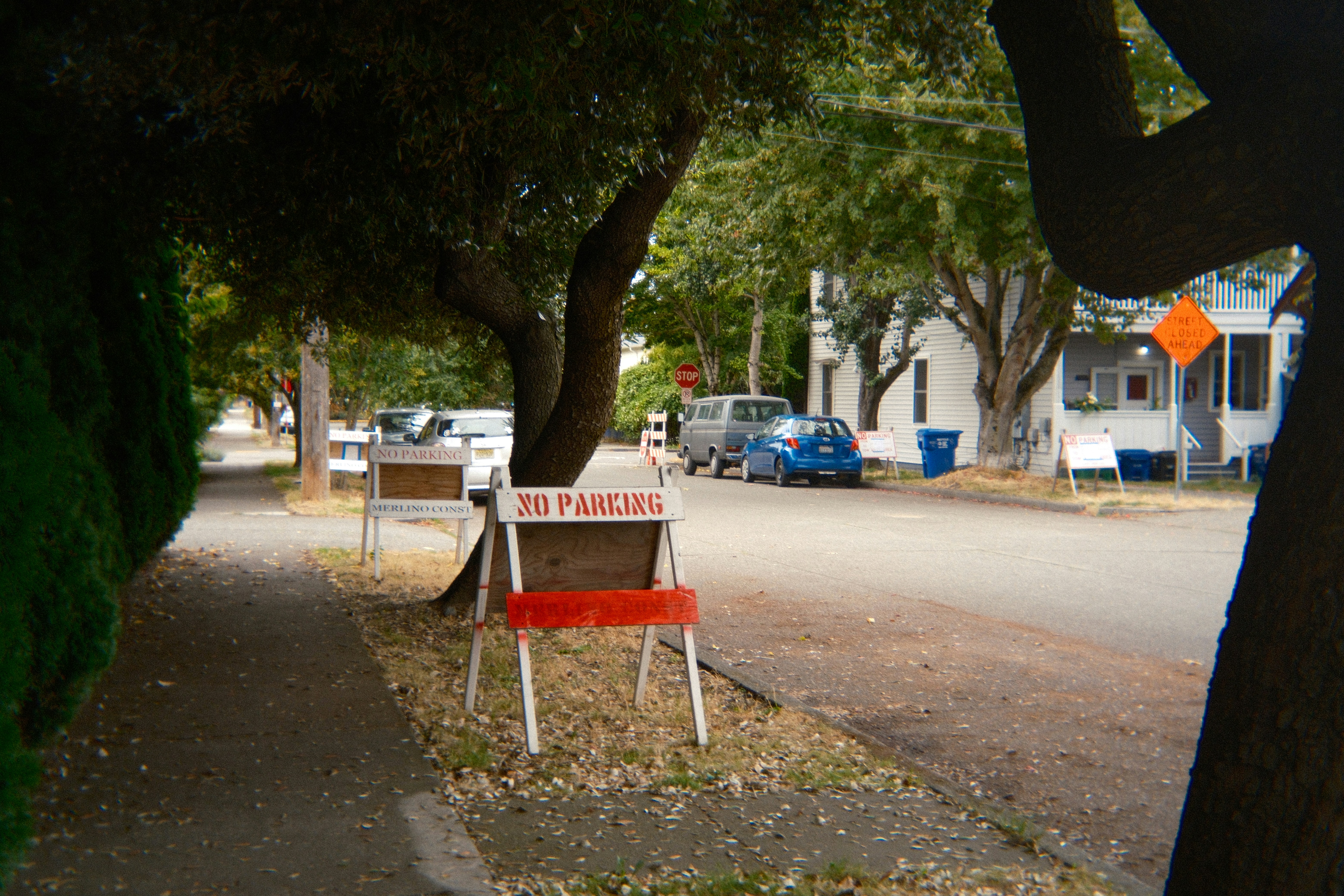 No parking signs on a suburban street