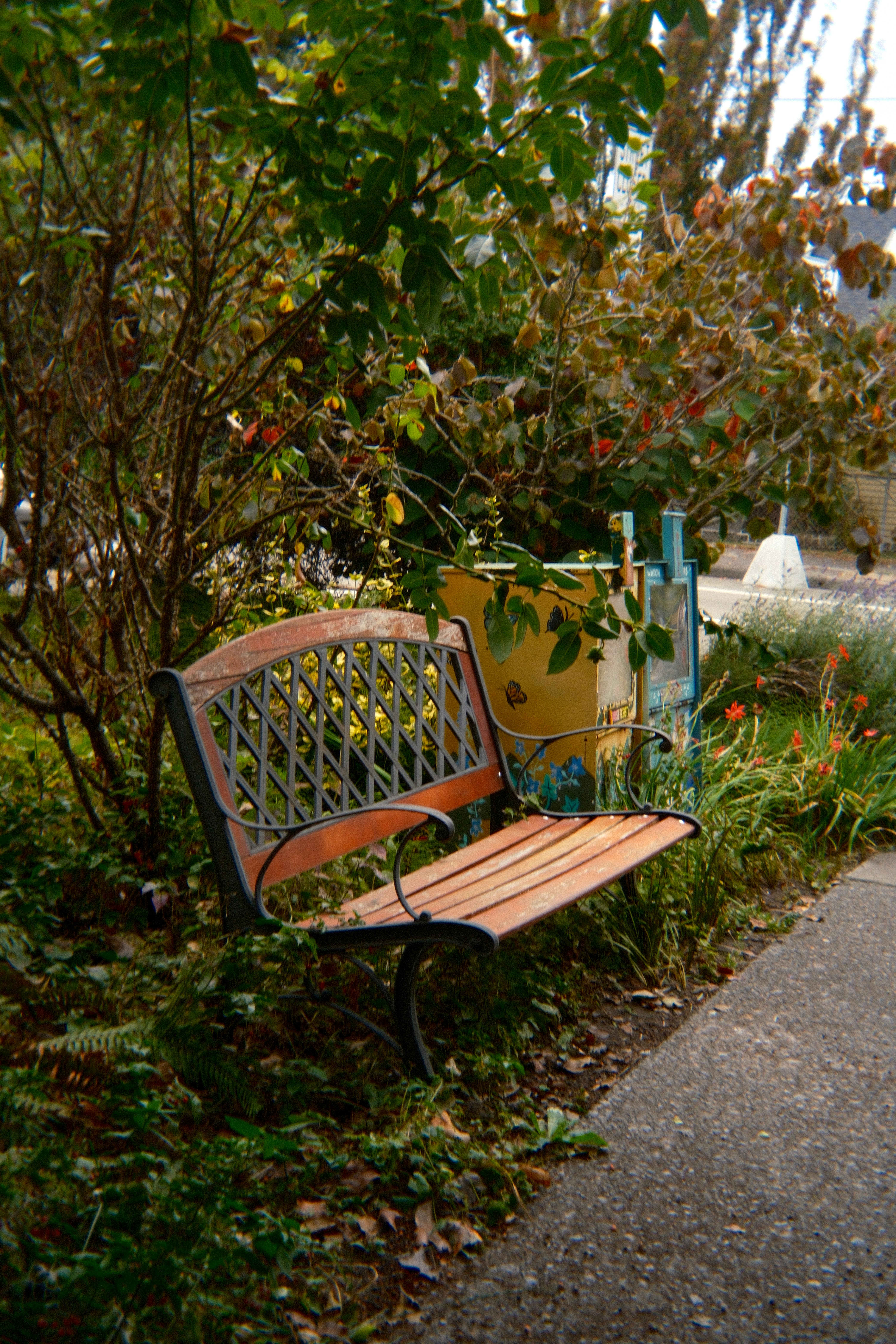 Wooden park bench surrounded by lush greenery and autumn leaves.