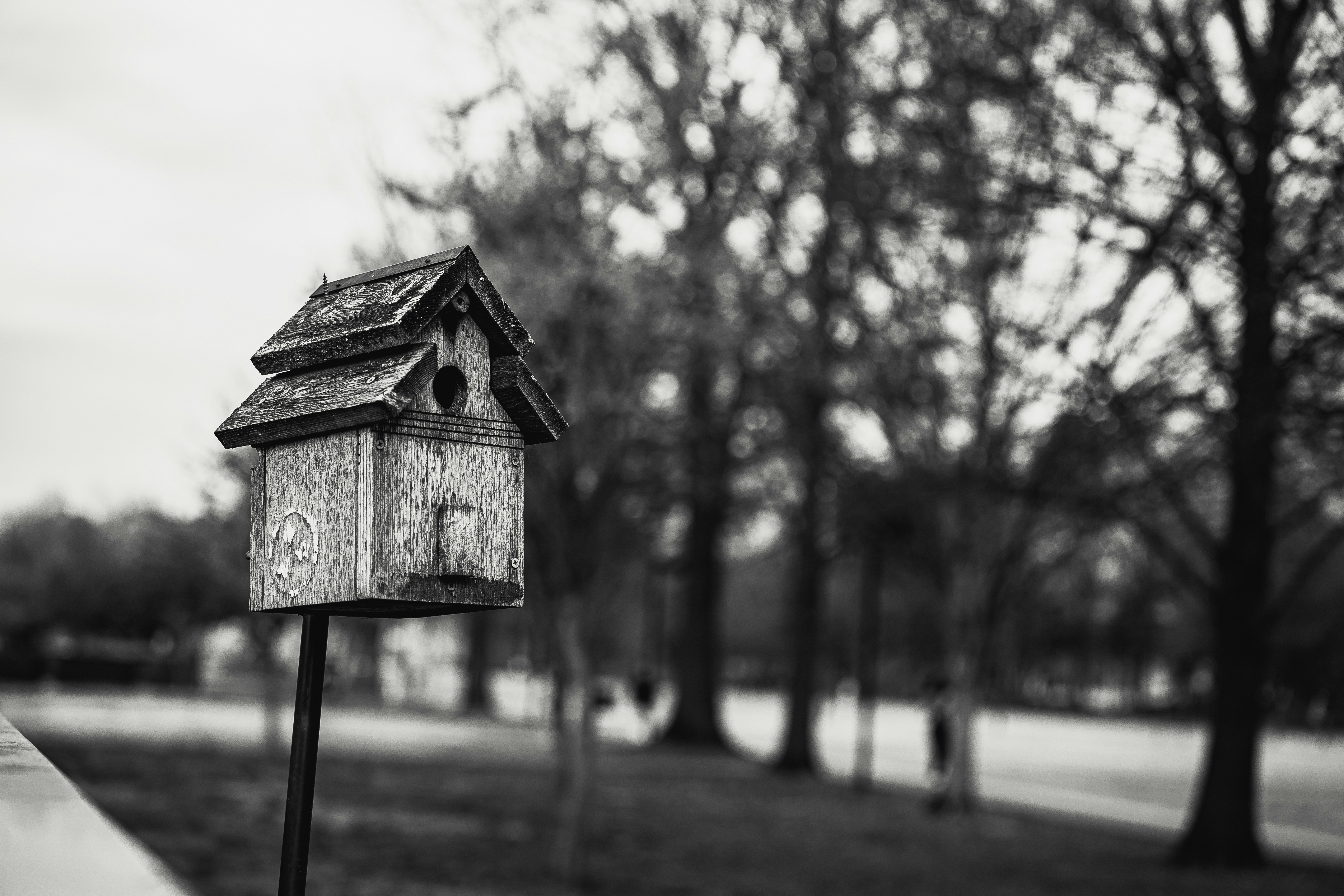 Photo by ericharnisch