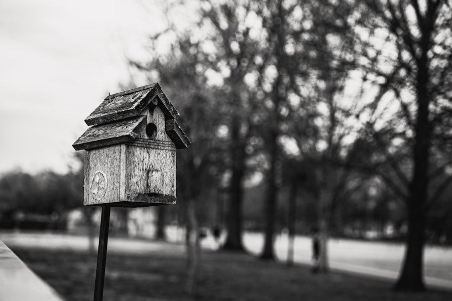 A weathered wooden birdhouse mounted on a post in a park, photographed in black and white.