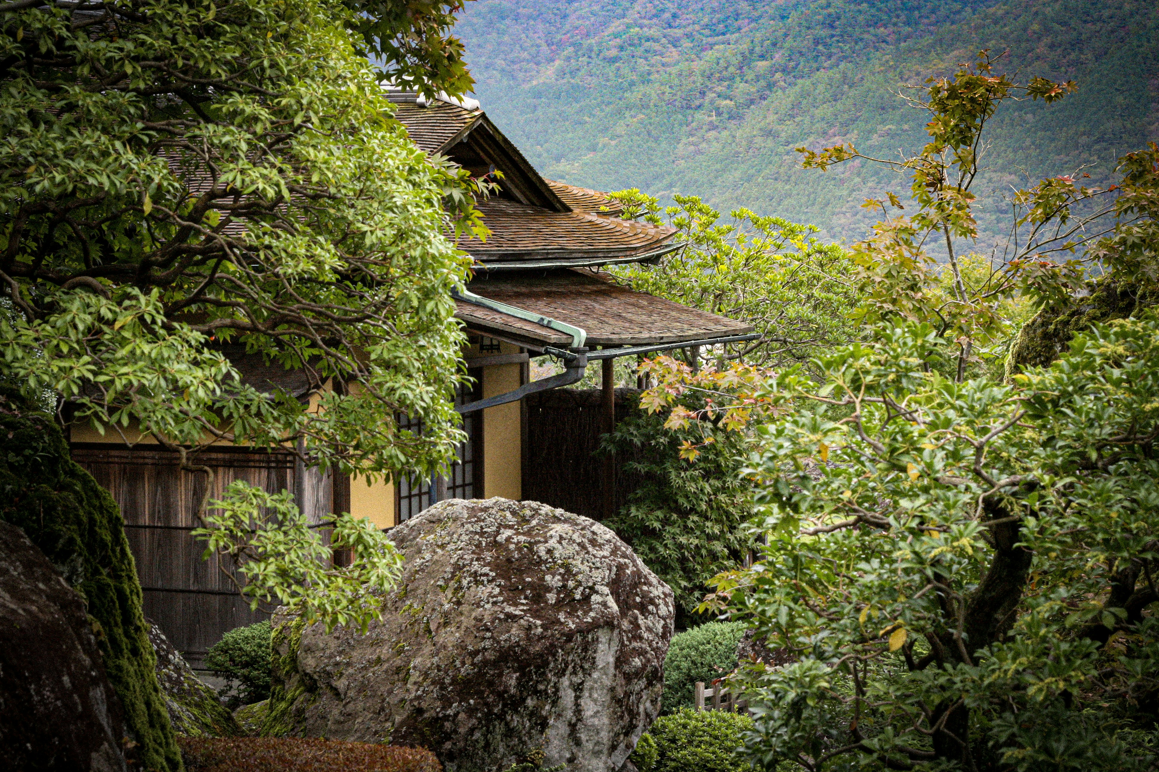 Traditionelles japanisches Haus in üppigem grünem Laub.