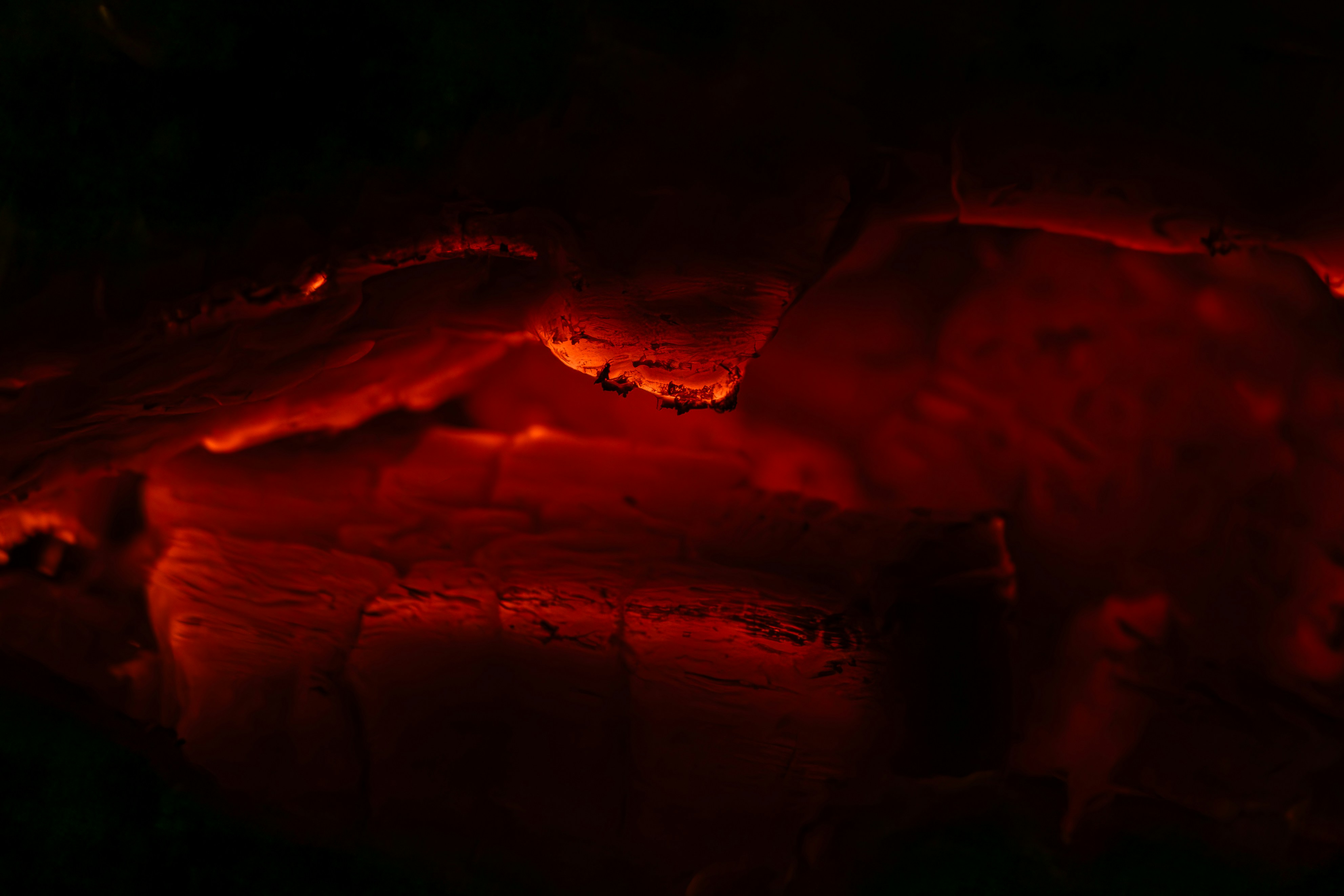 Photo by matheuskprot