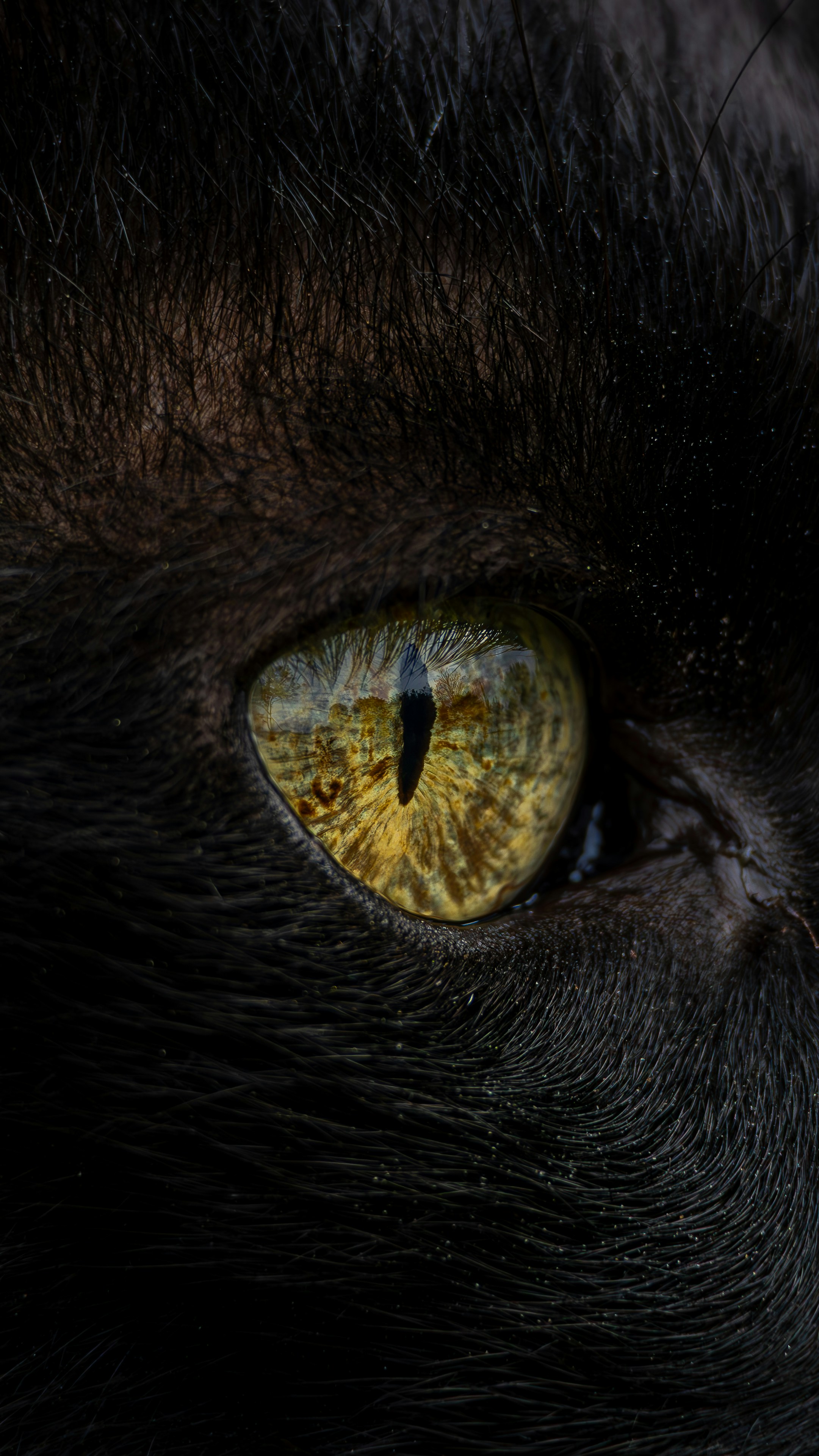 Photo by matheuskprot