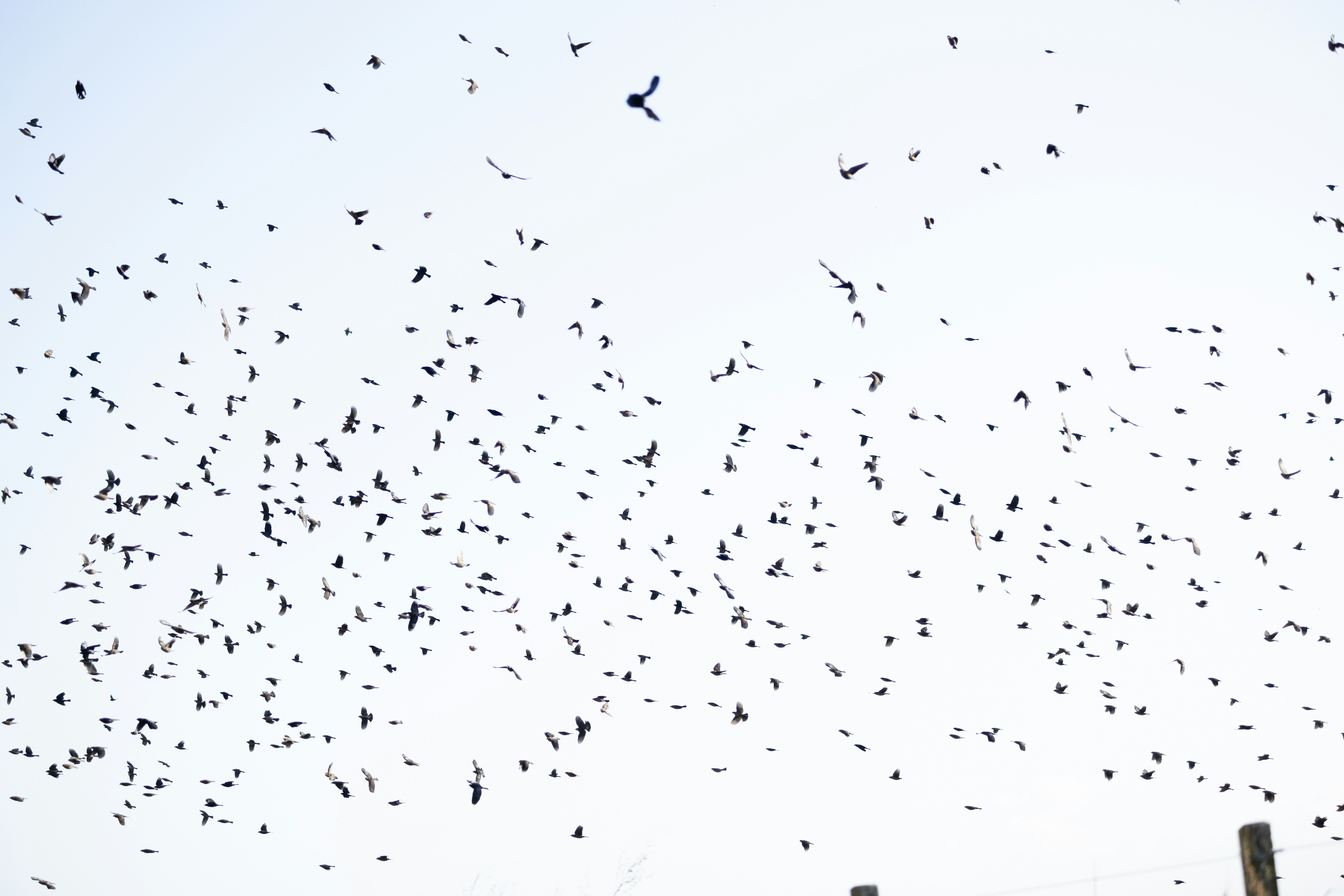 Photo by matheuskprot