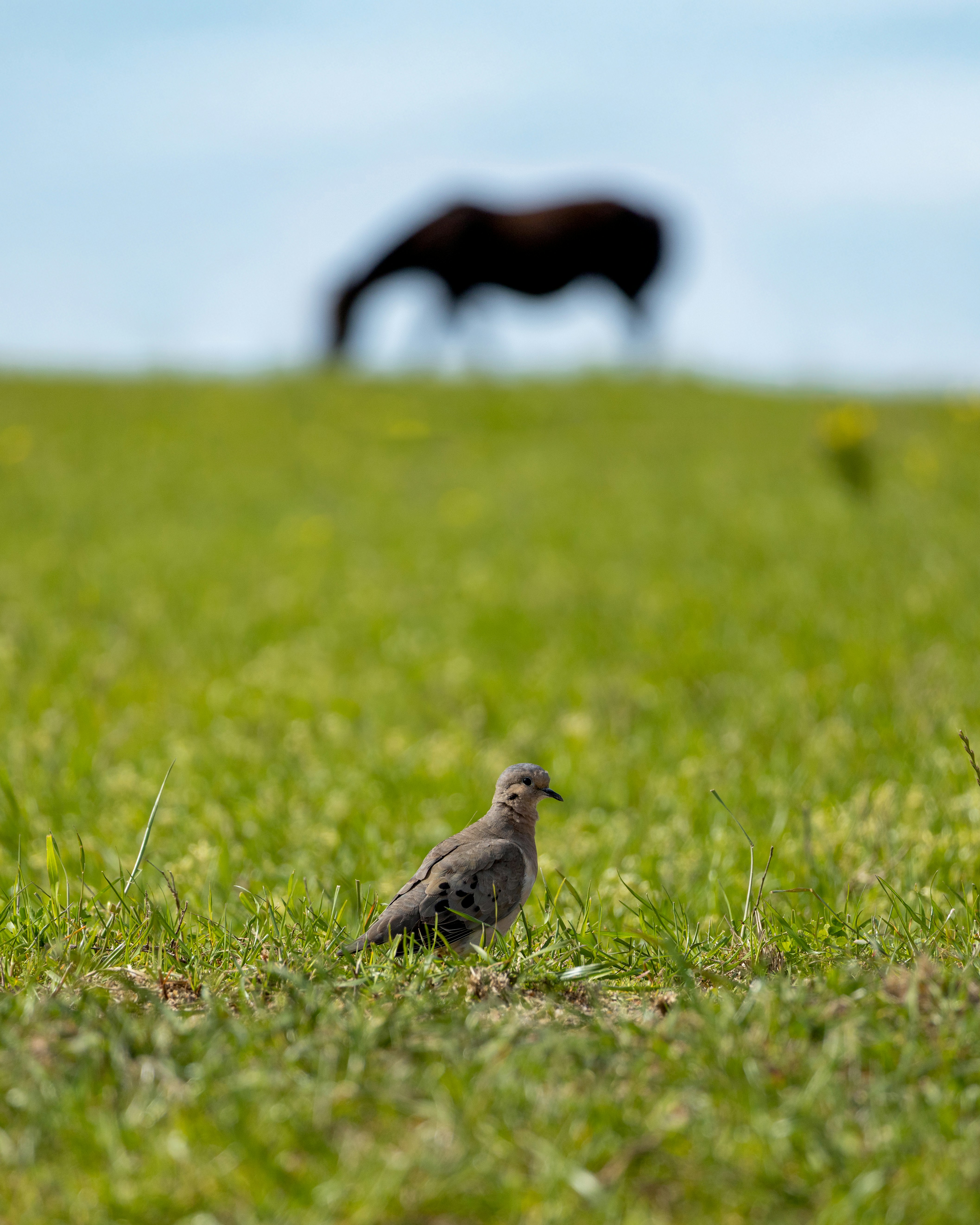 Photo by matheuskprot