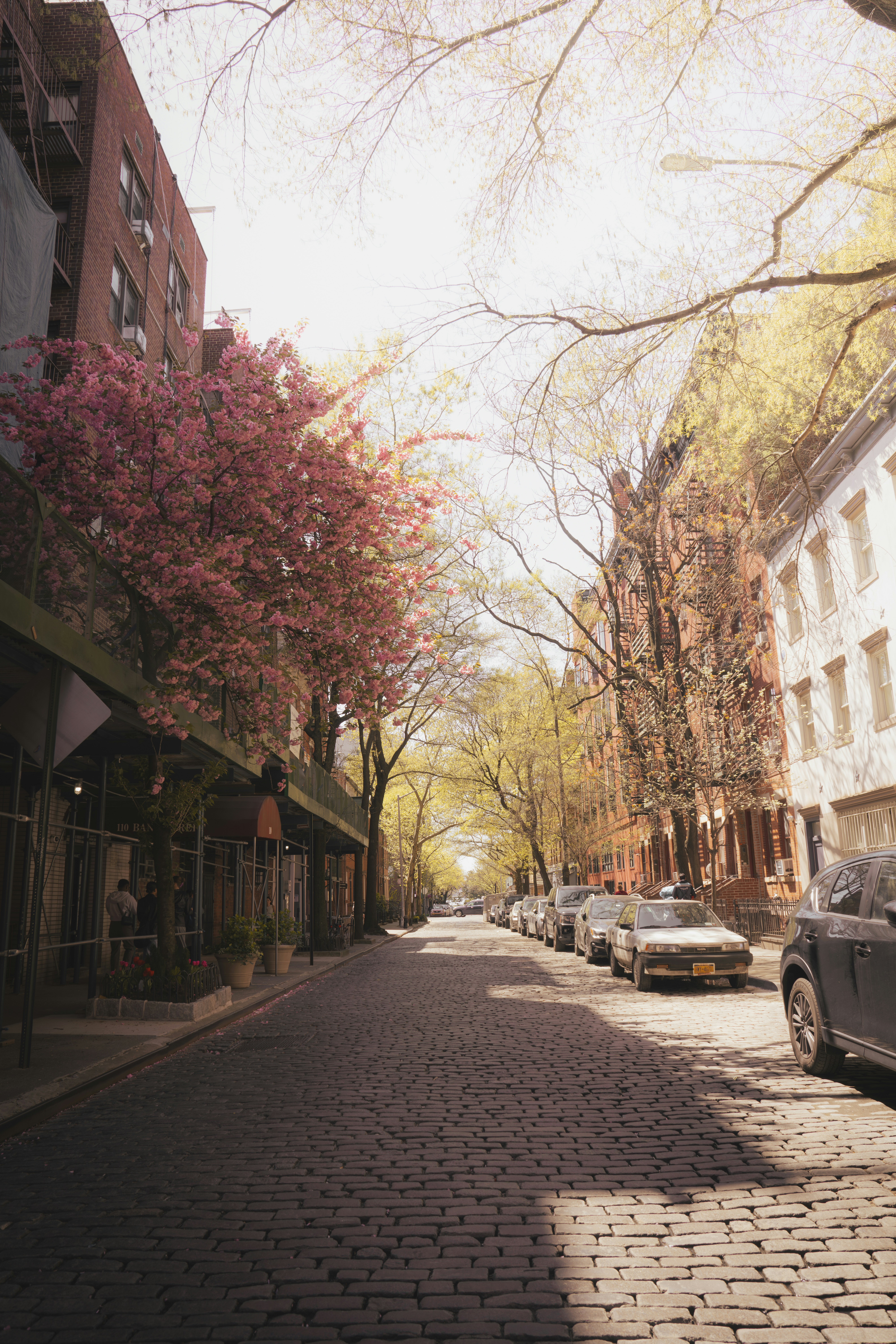 Photo by damiankravchuk