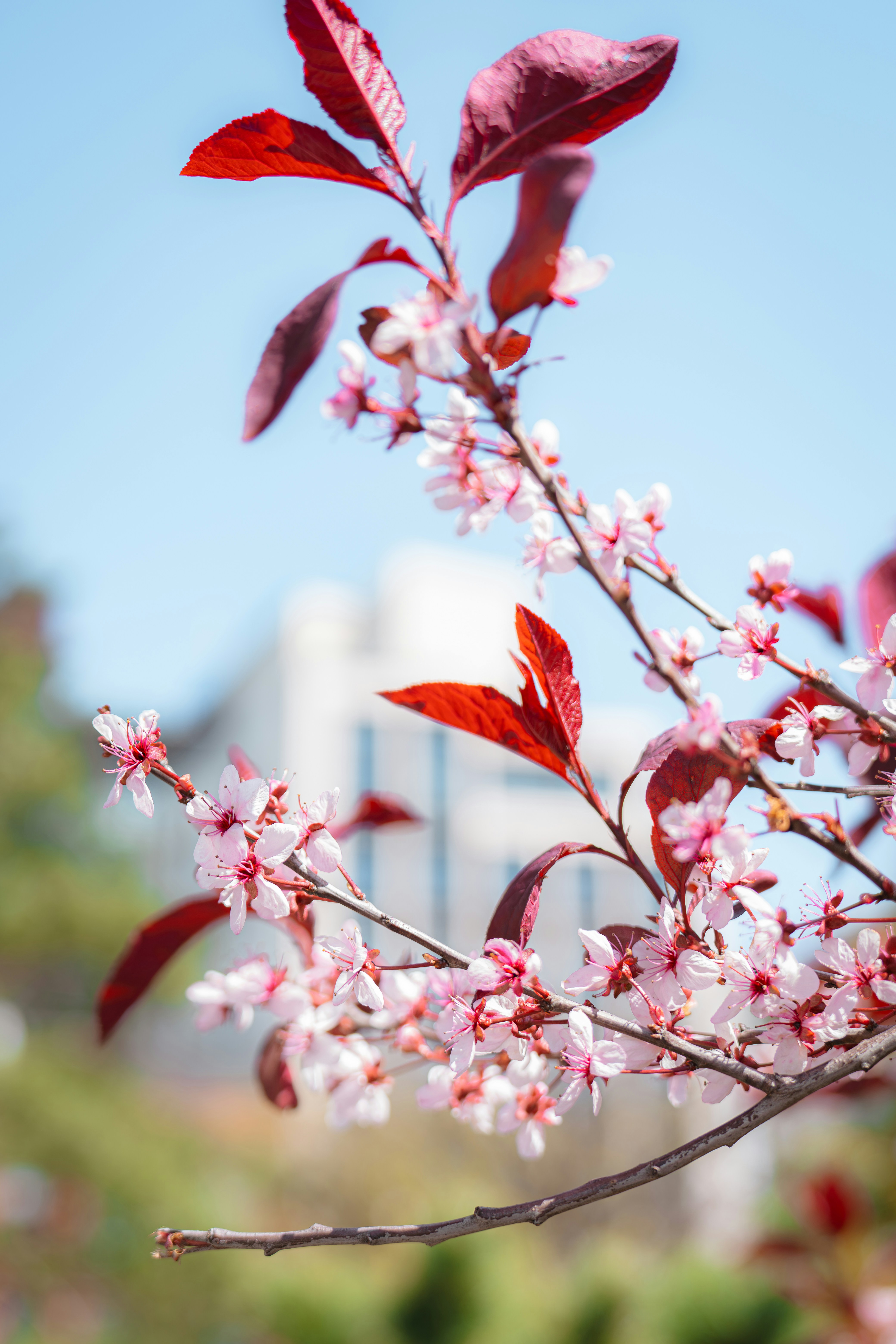 Photo by damiankravchuk