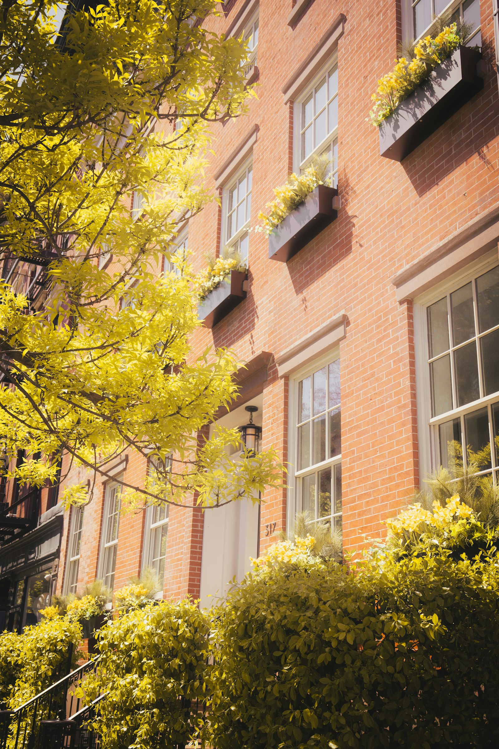 The New Urban Dream: Why Toronto Townhomes Are Now as Sought After as Single-Family Homes