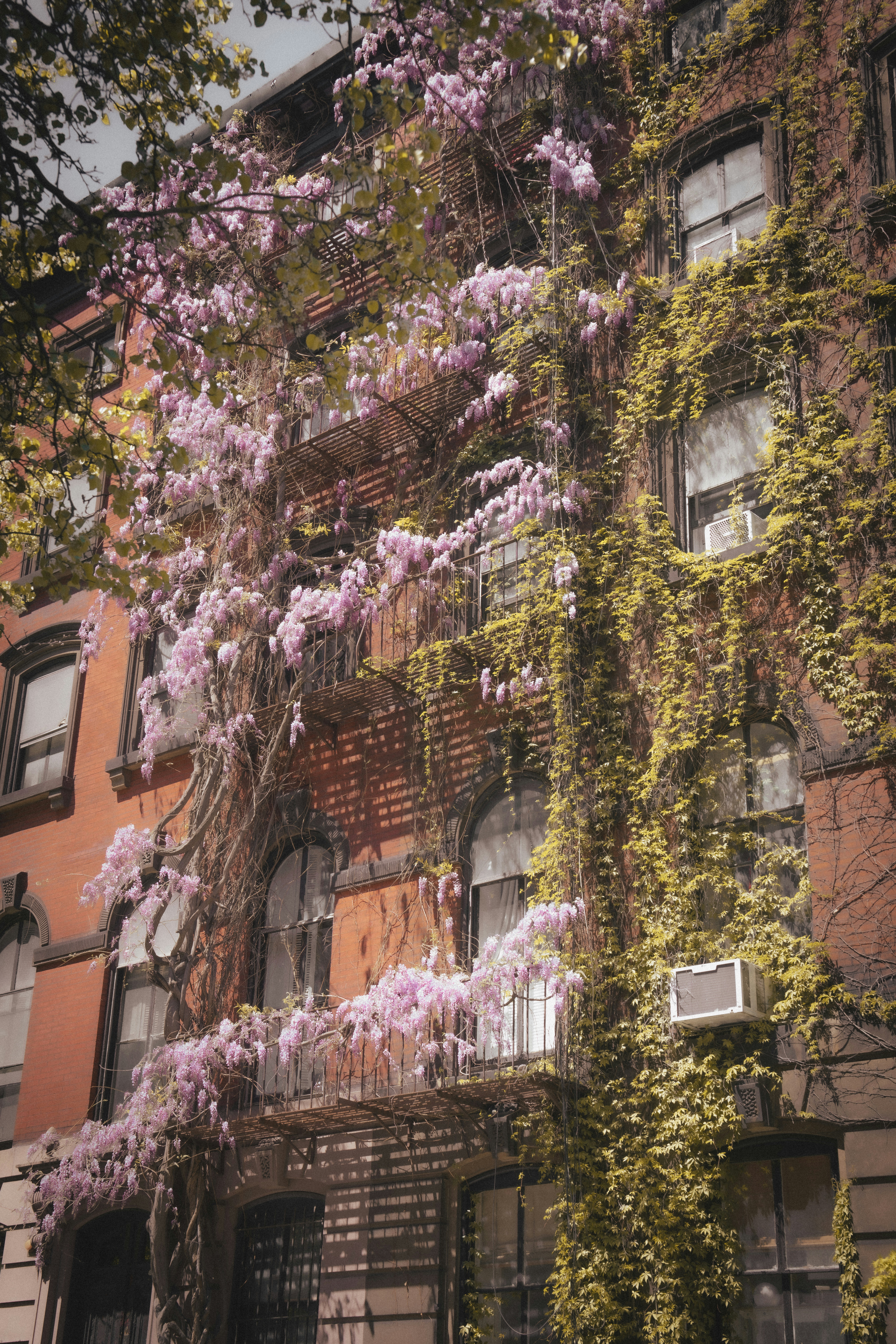 Photo by damiankravchuk