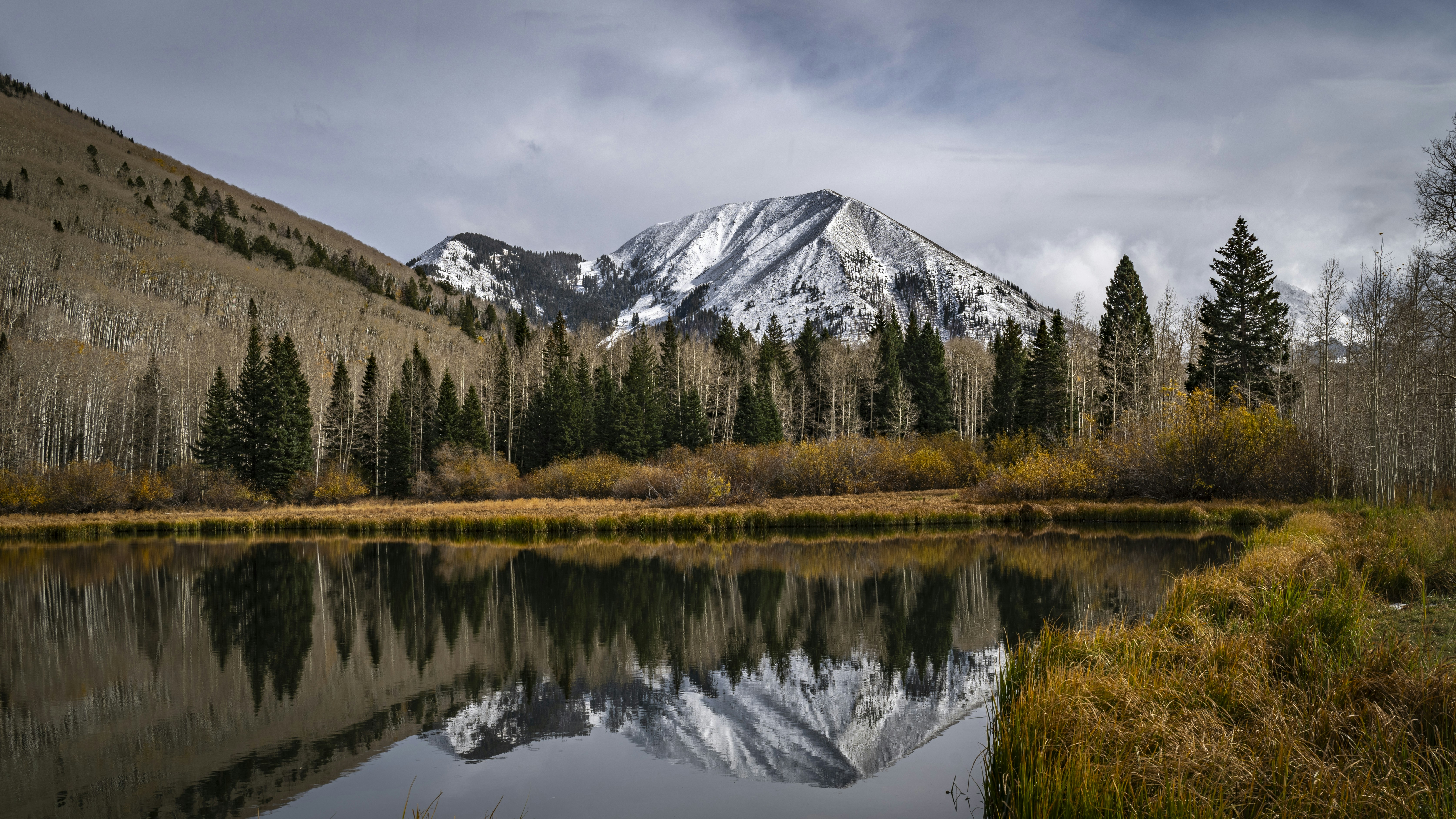 photo by Shane Gallagher (@shanegags) on unsplash