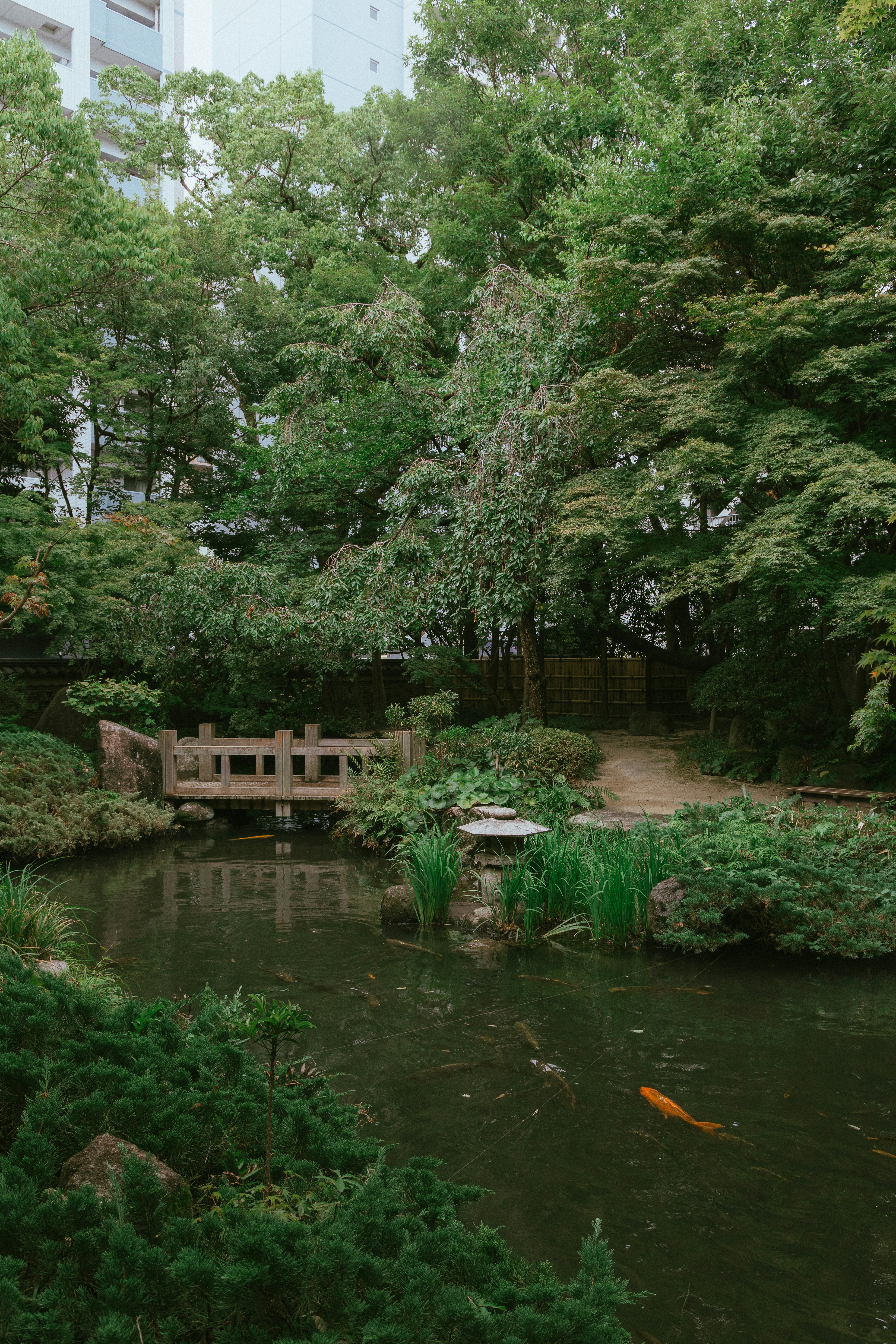 후쿠오카 온천 당일치기 가능한 노천탕 찾고 예약까지 끝내는법 관련 이미지1