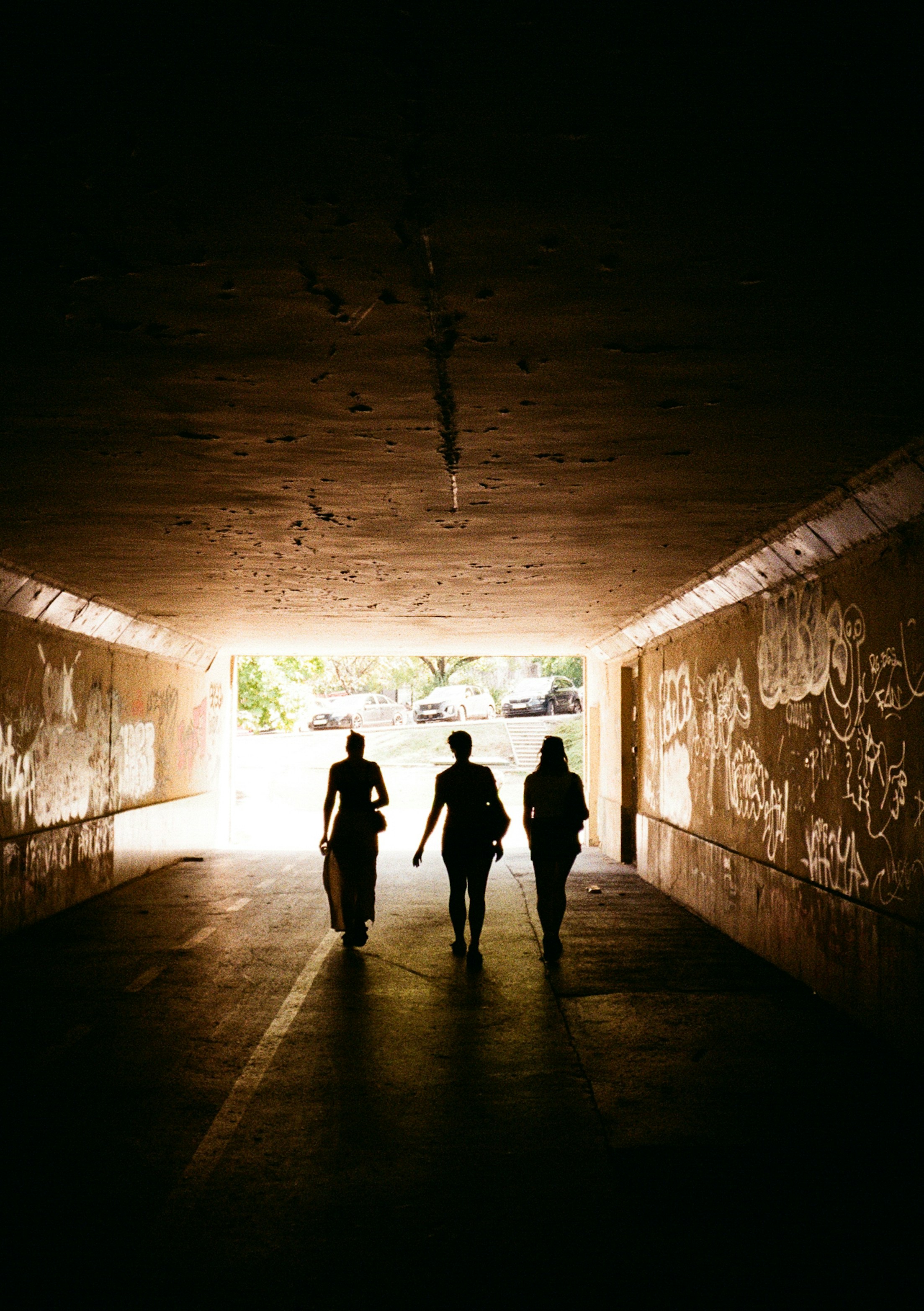 야보하, 당신이 몰랐던 숨겨진 매력 7가지 공개!