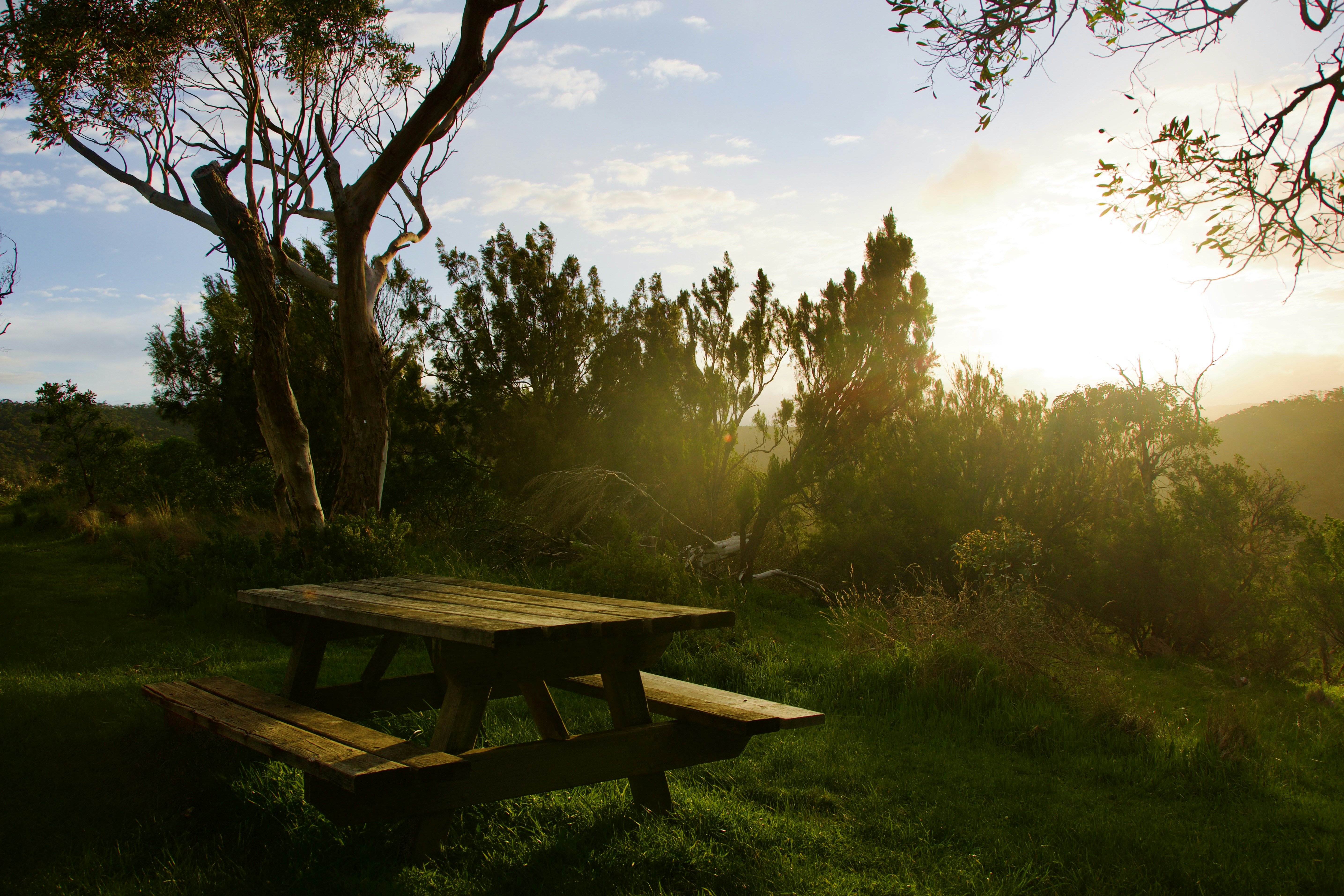 햇볕이 내리쬐는 잔디밭에 있는 나무 피크닉 테이블.