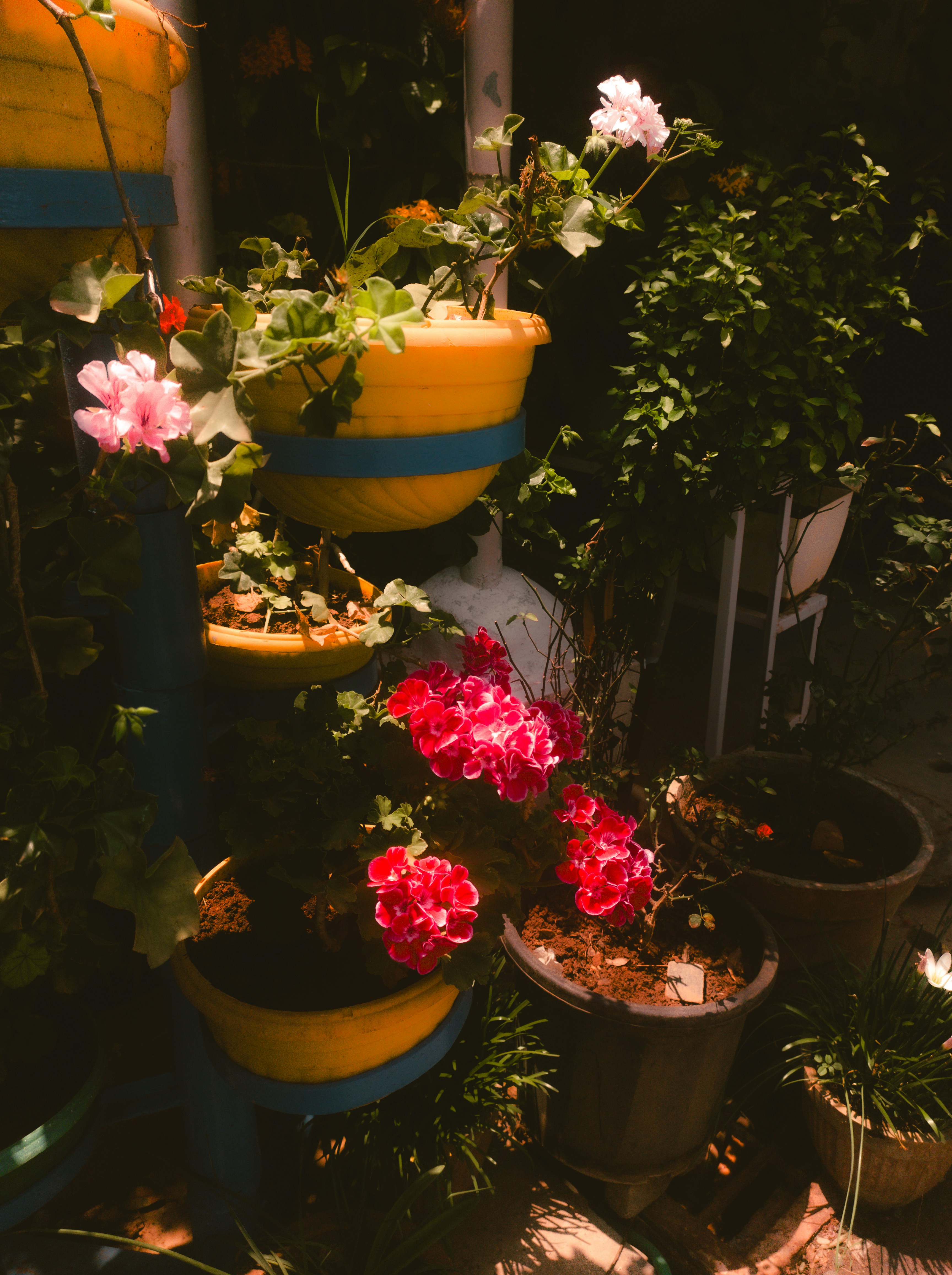 Photo by atharvad_jpeg