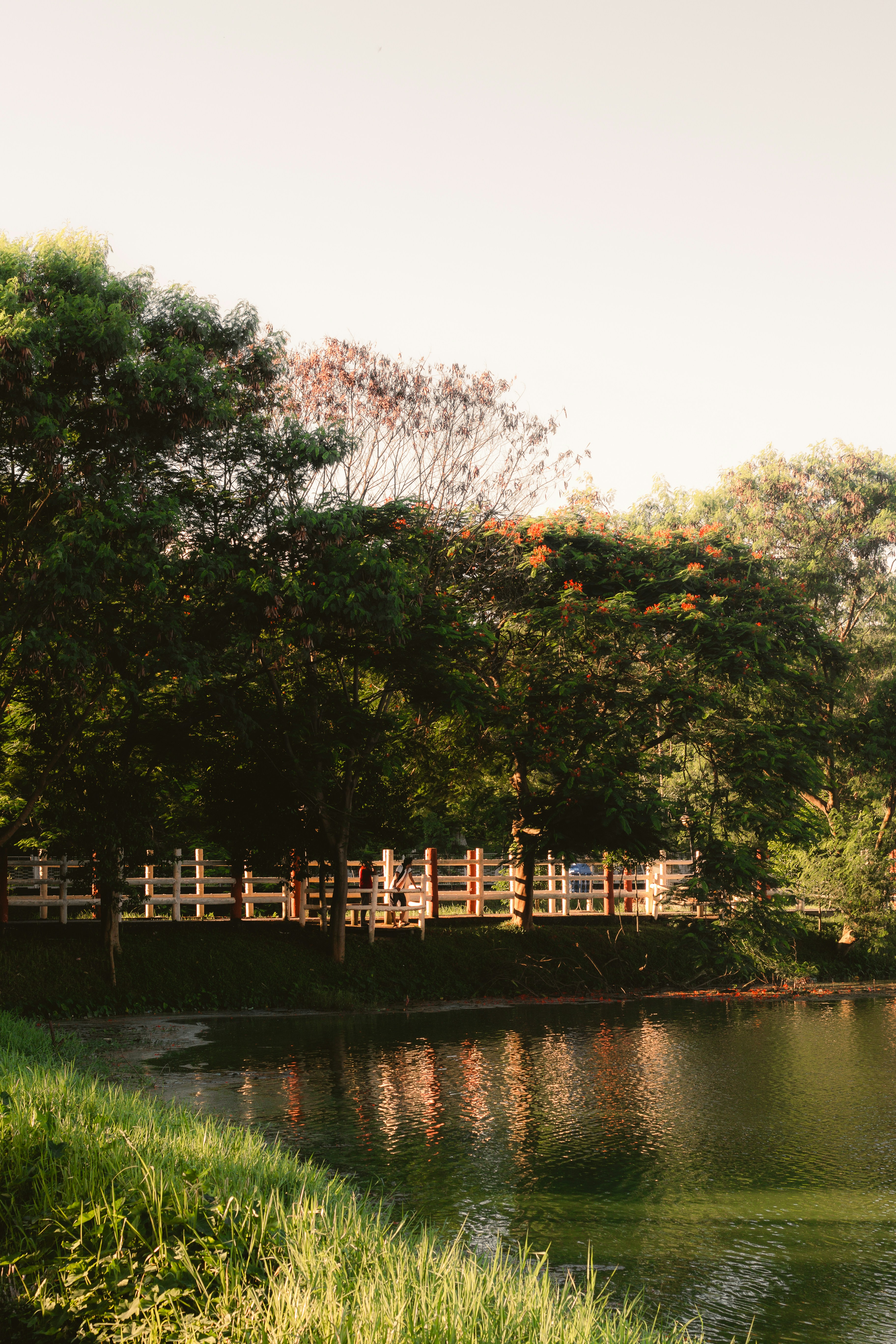 Photo by atharvad_jpeg