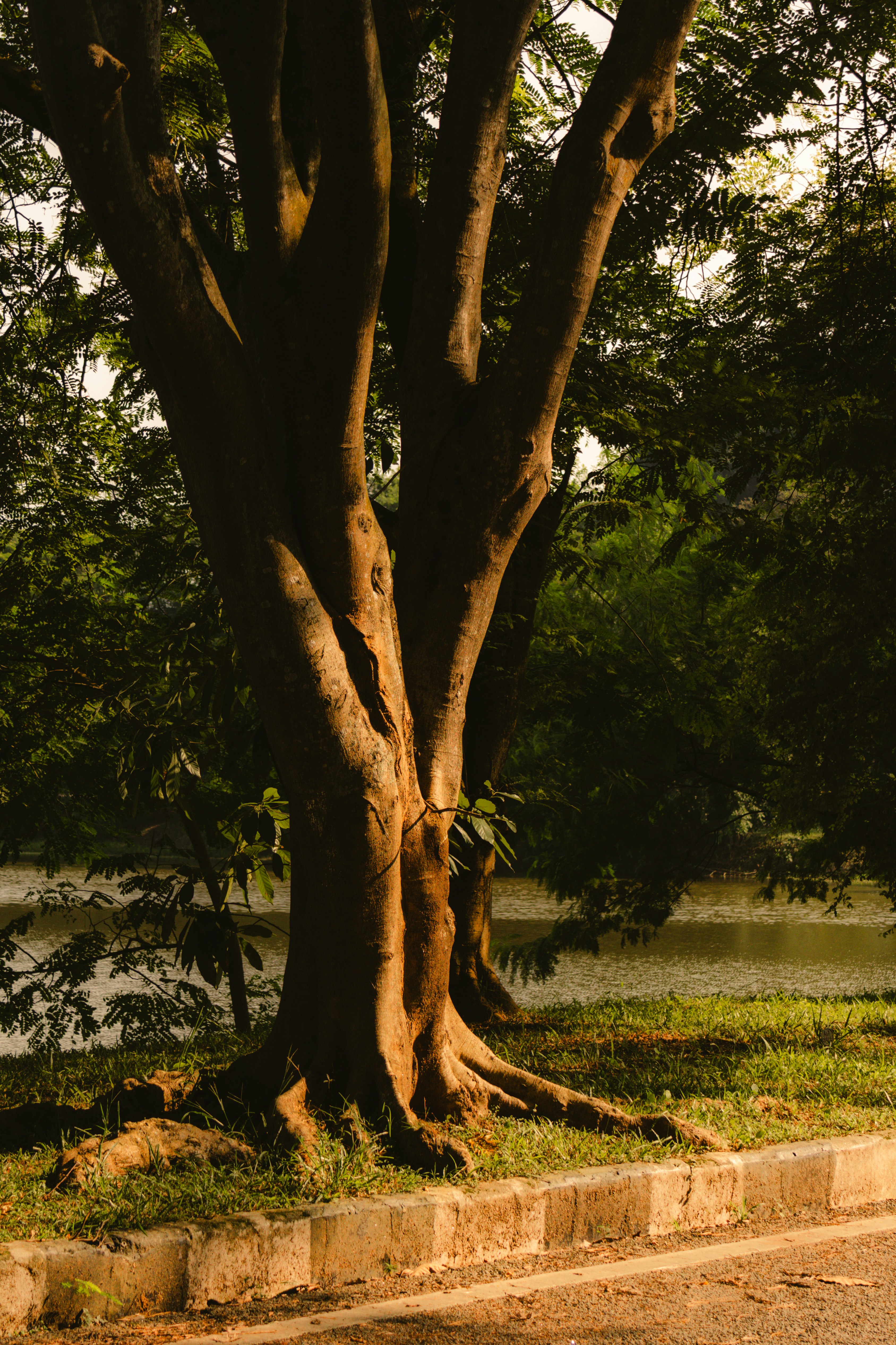 Photo by atharvad_jpeg